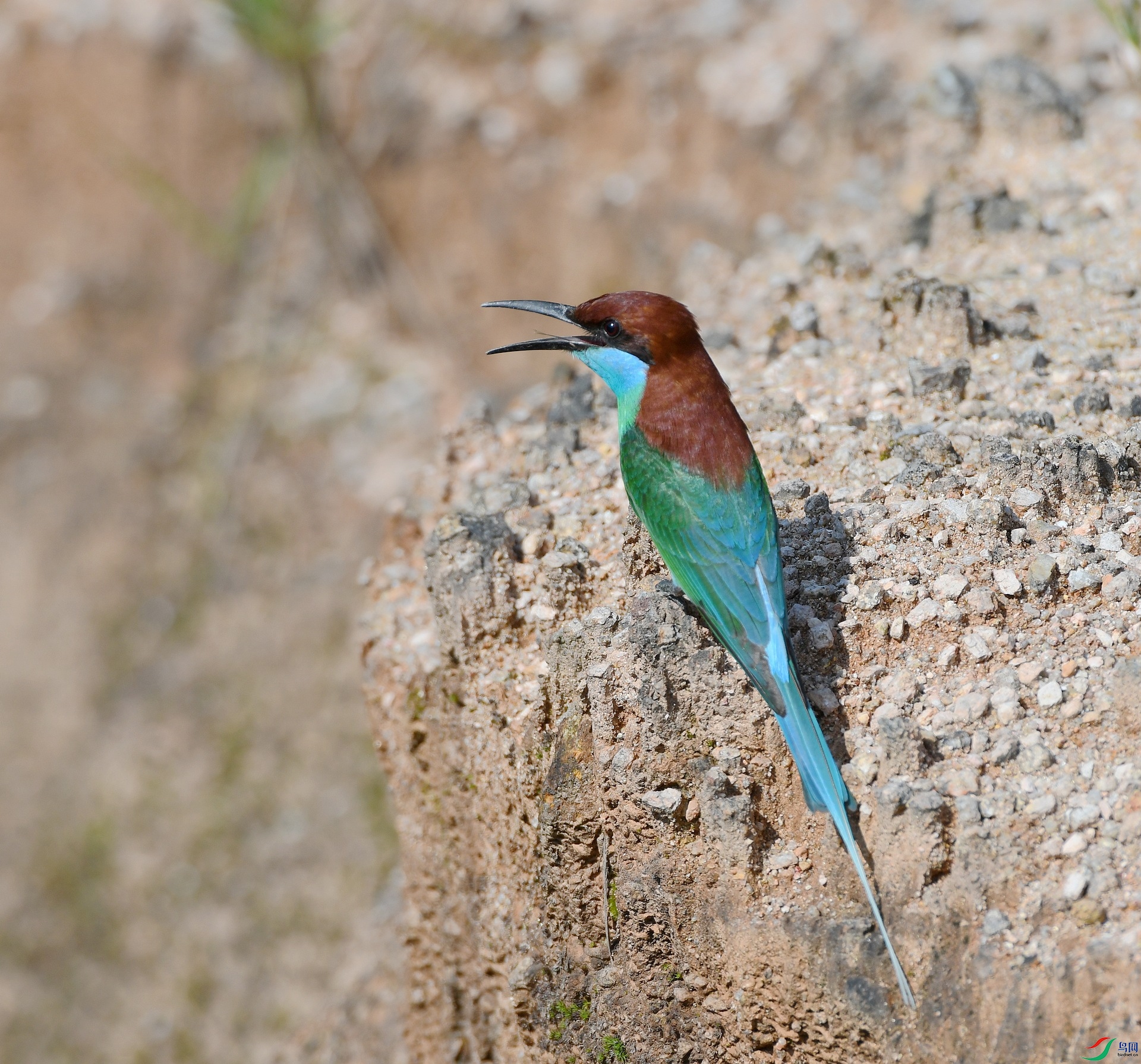 DSC_5602.jpg