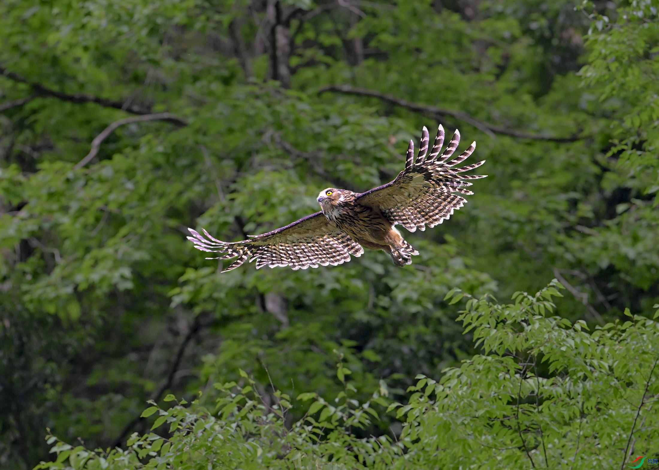 _DSC0691 ����x.jpg