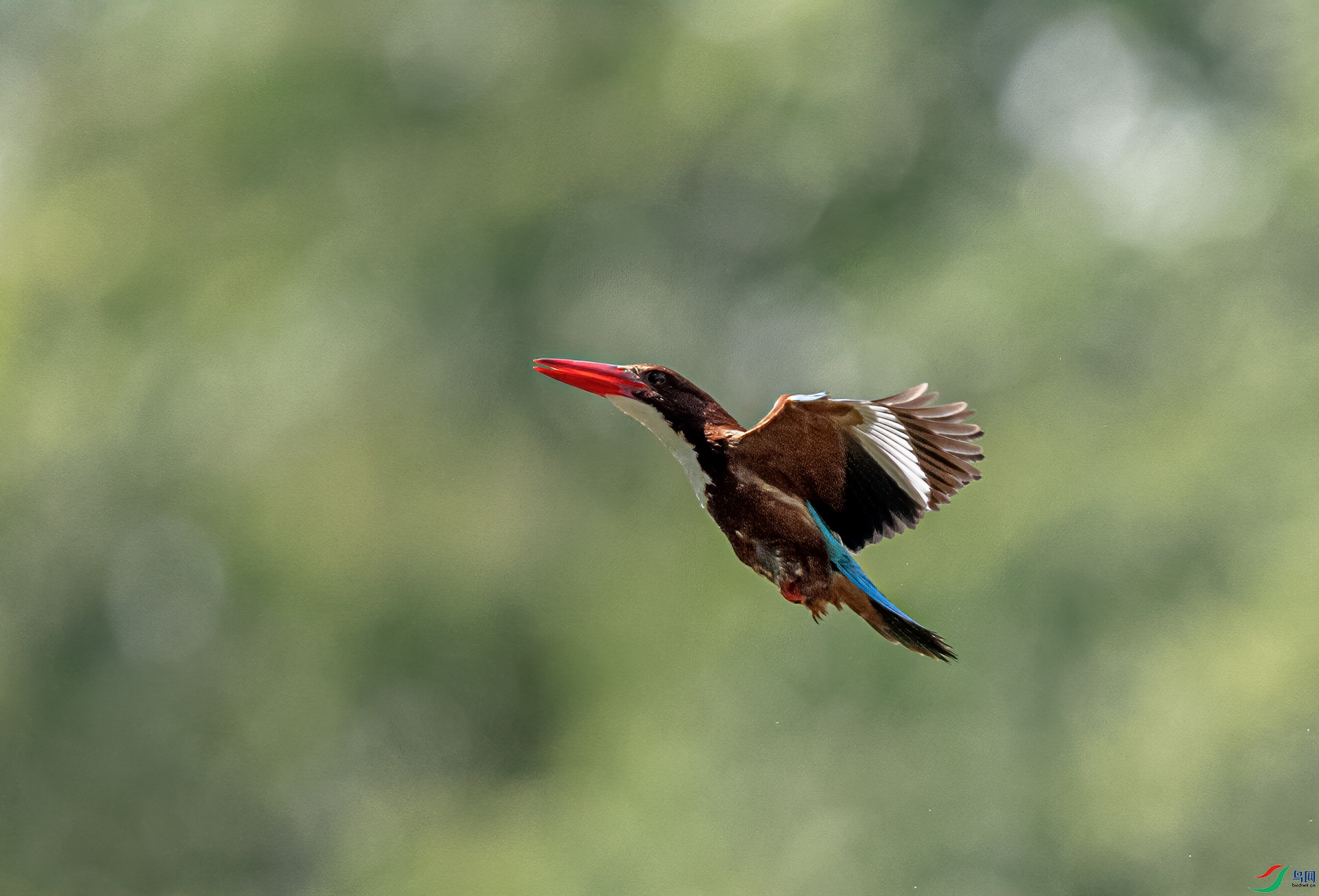 DSC_4145-11.jpg
