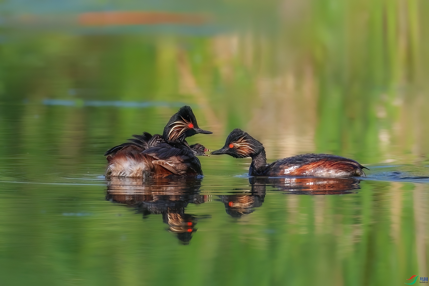 6��11��(2) ����.jpg