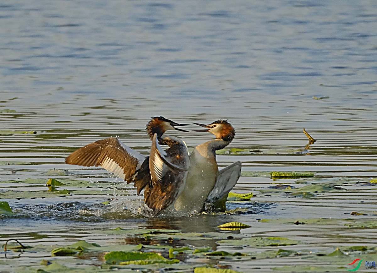 _DSF8873.jpg