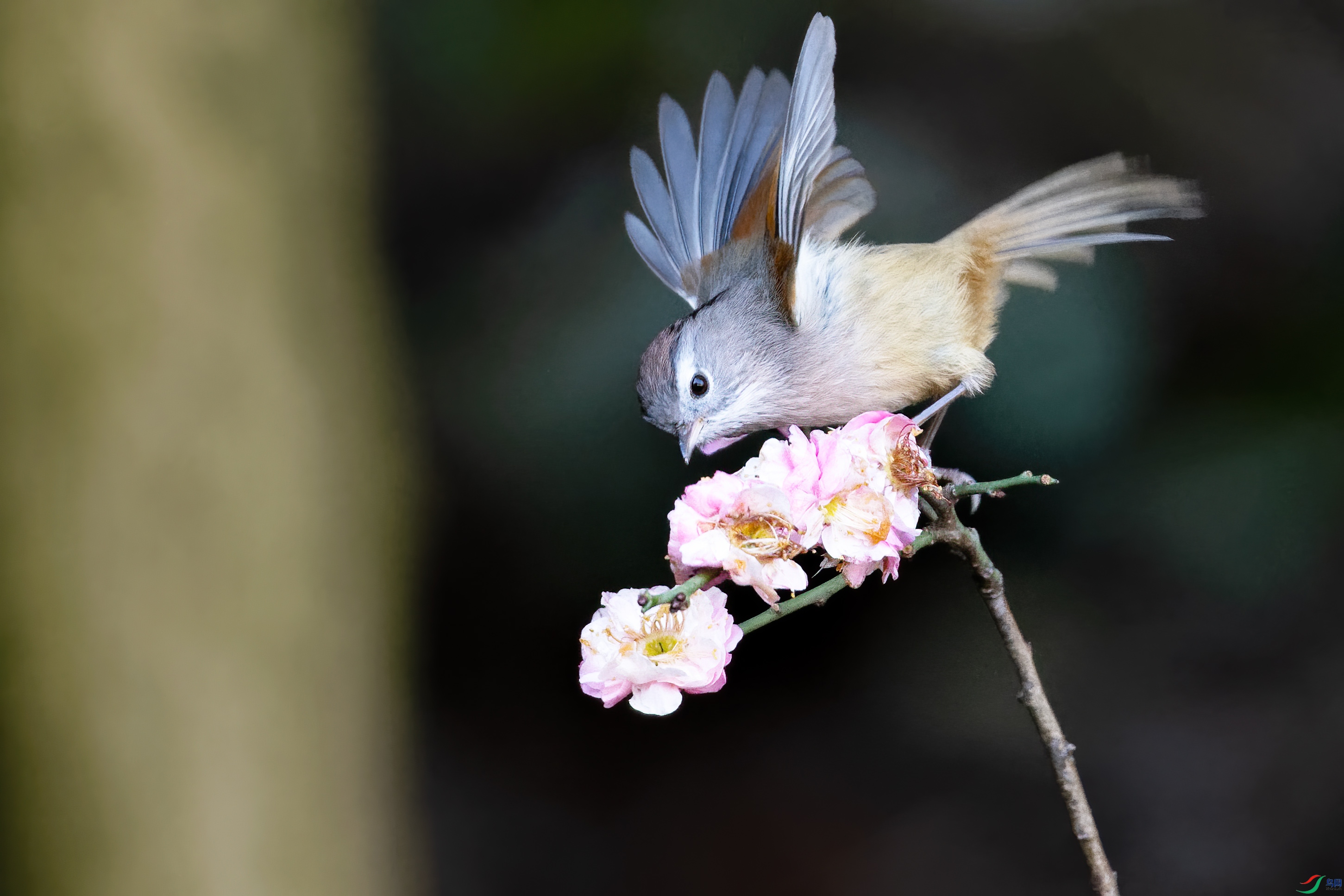 DSC_7102.jpg