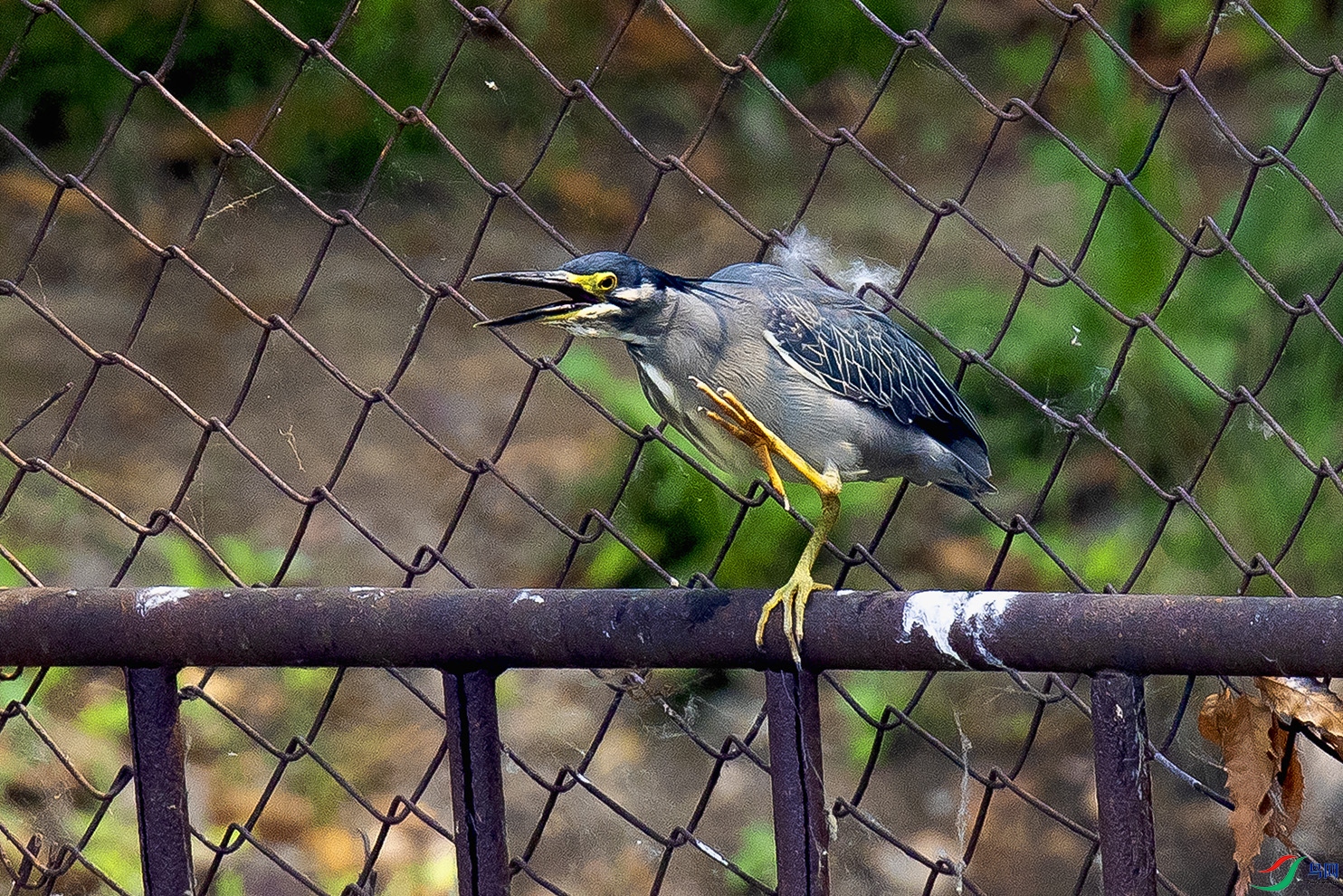 _90I0114 ����.jpg