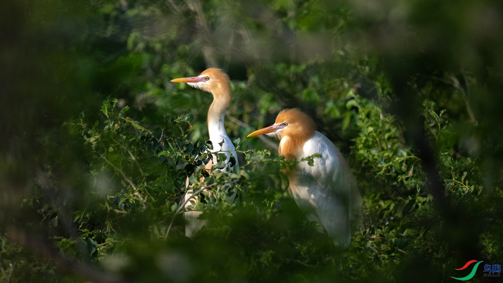 DSC_3730.jpg