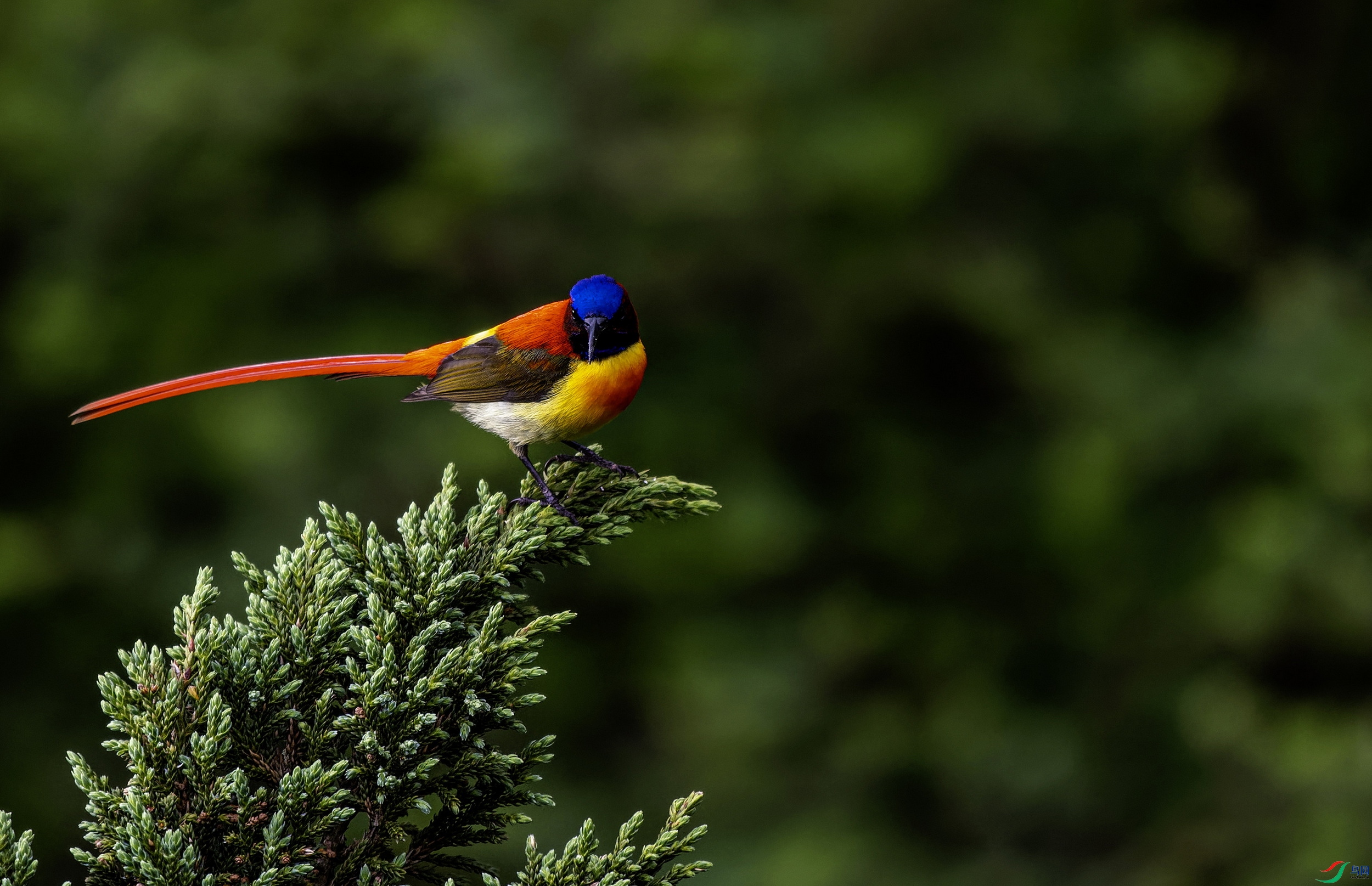 ��β̫���� (3)-1.jpg