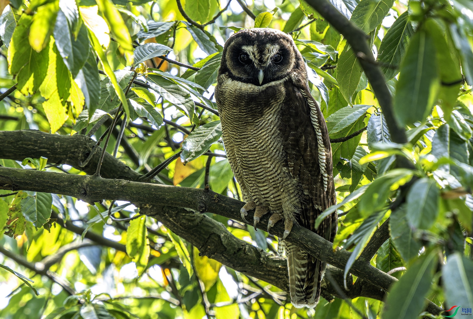 �����^��2025-5�� (19)-1.jpg