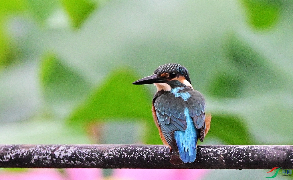 DSC_0685.JPG