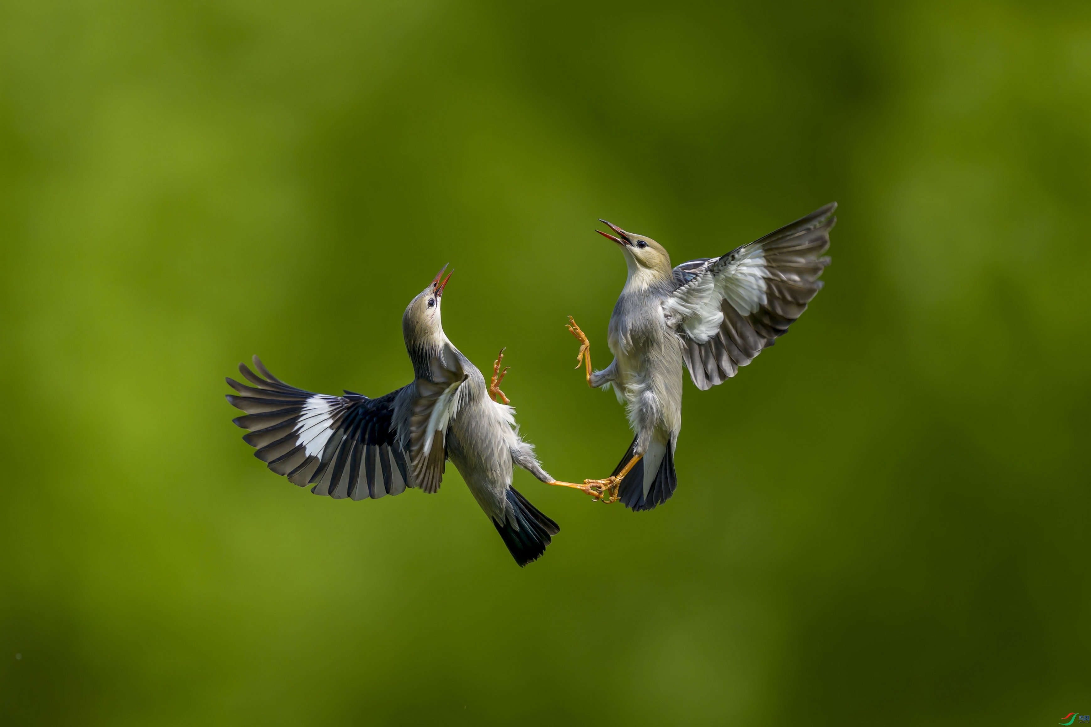 _DSC3796 ���� 2F001.jpg