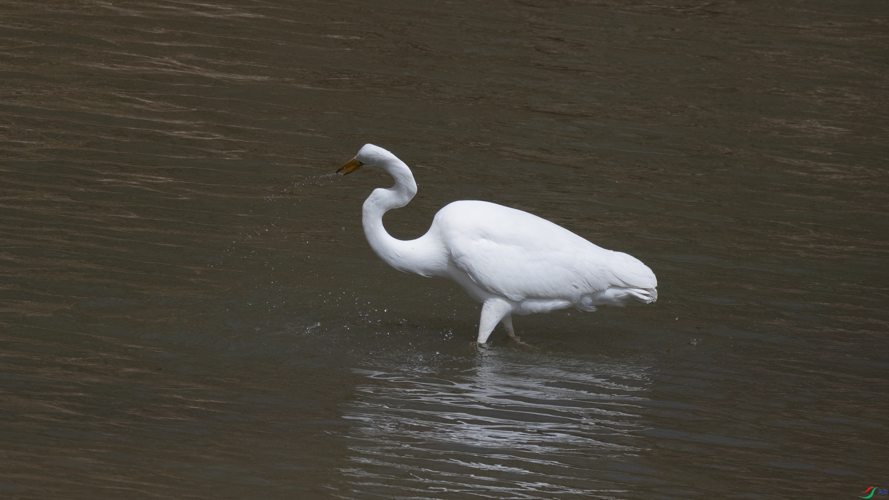 7X5A0892 ����.jpg