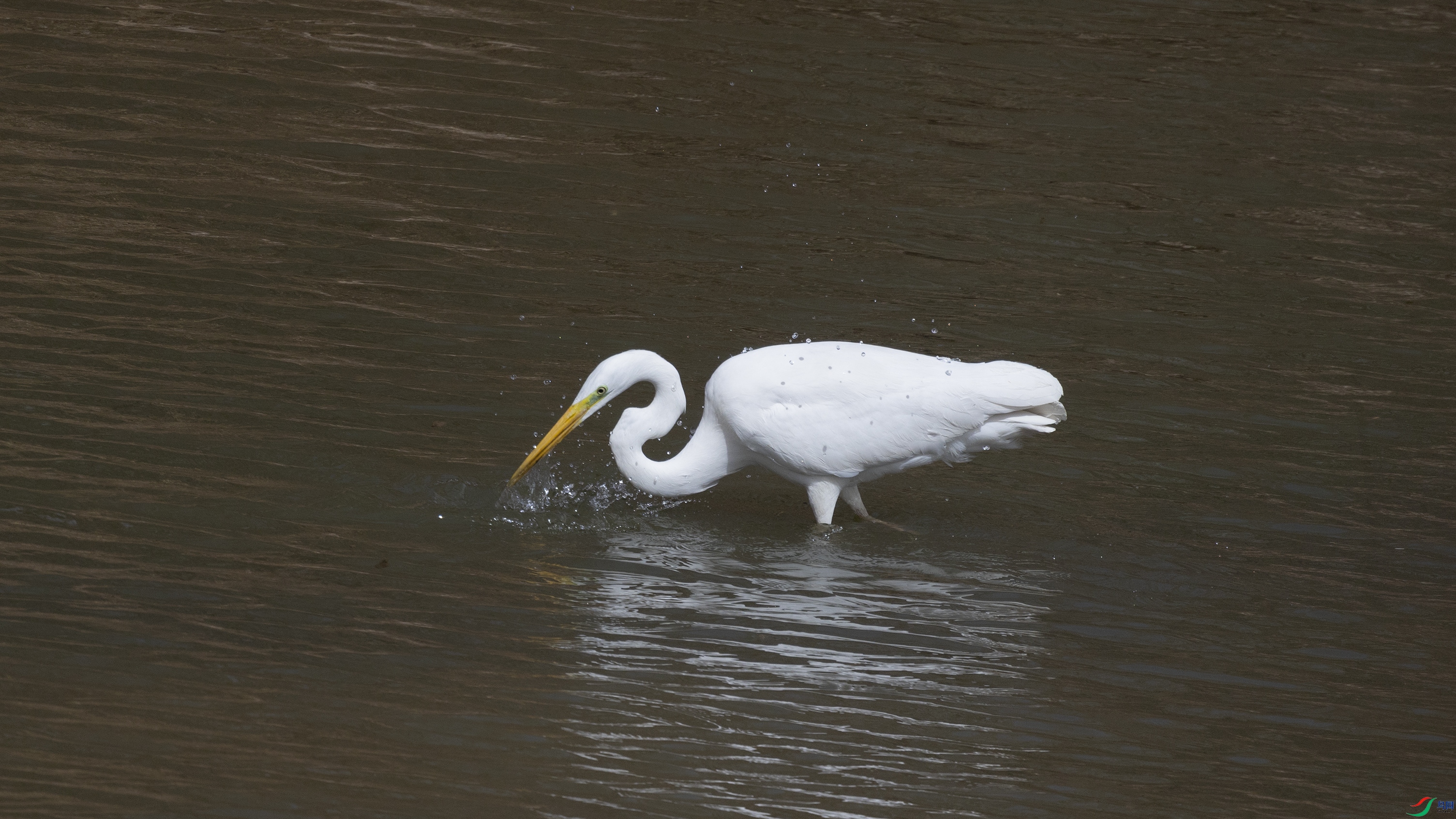 7X5A0883 ����.jpg