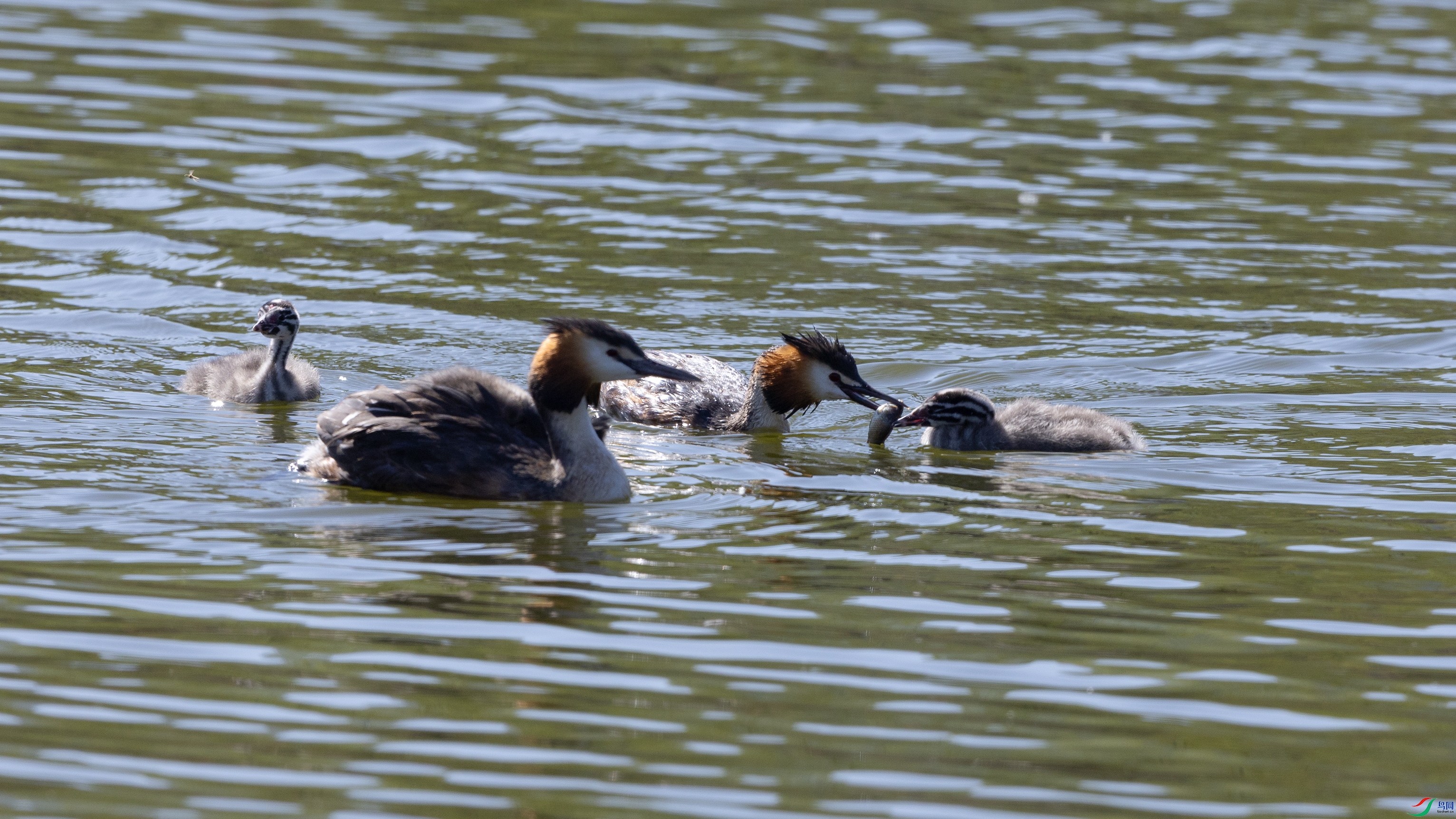 _O7A7107 ����.jpg