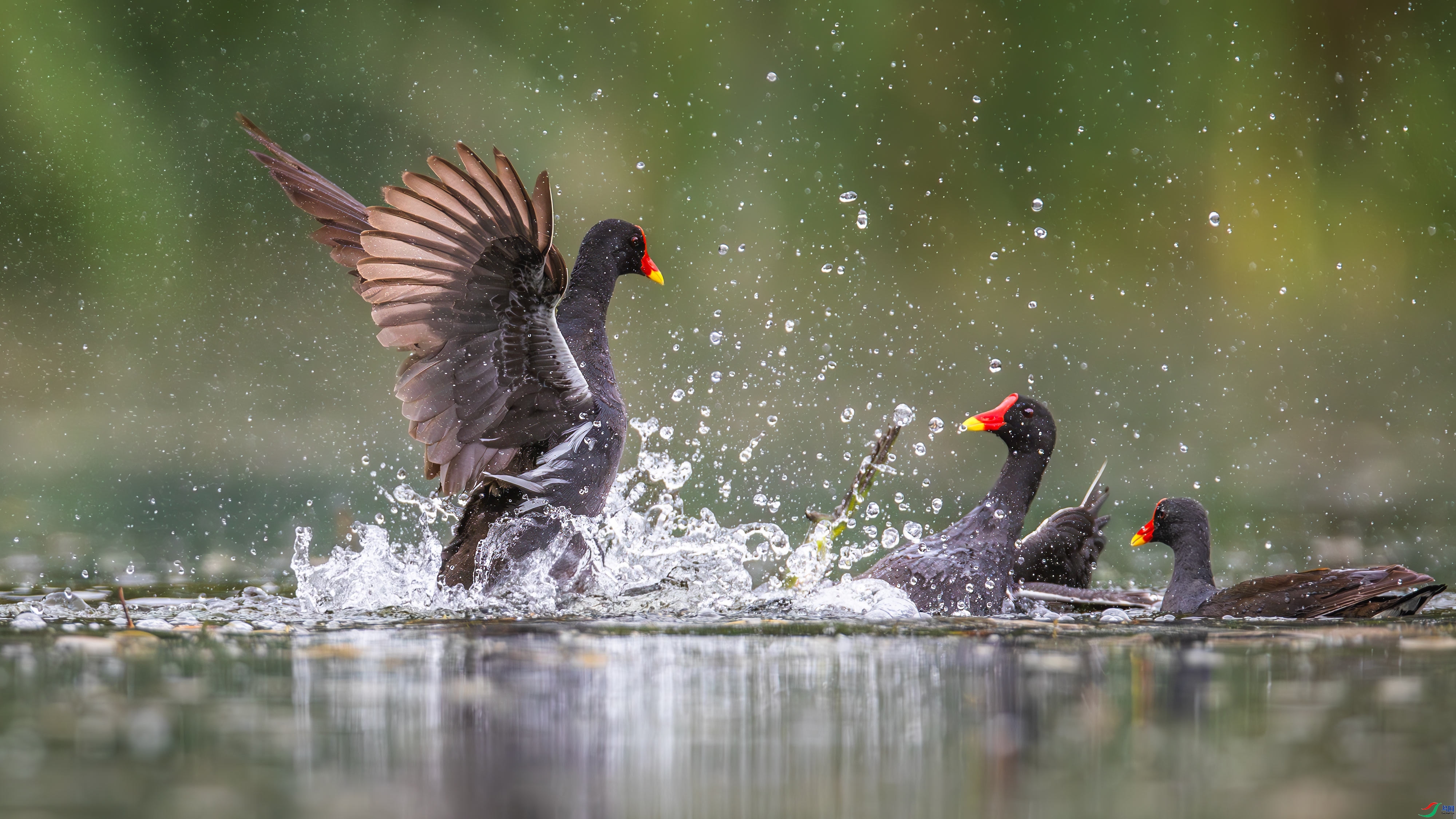 6.22��������ʦ��Ʒ   ���� ��ף���ٻ���Ӱʦ������.jpg