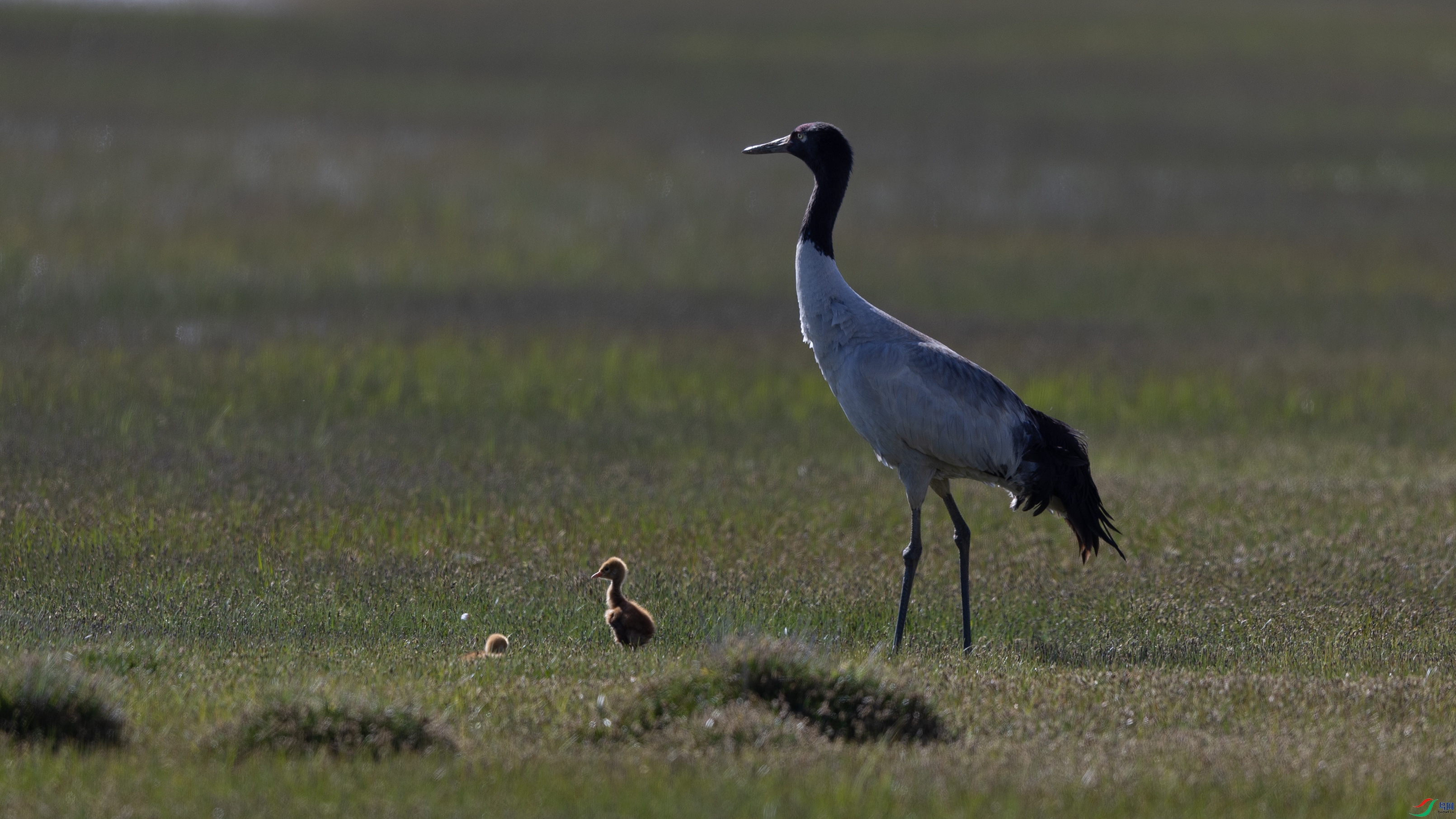 _O7A0706 ����44444.jpg