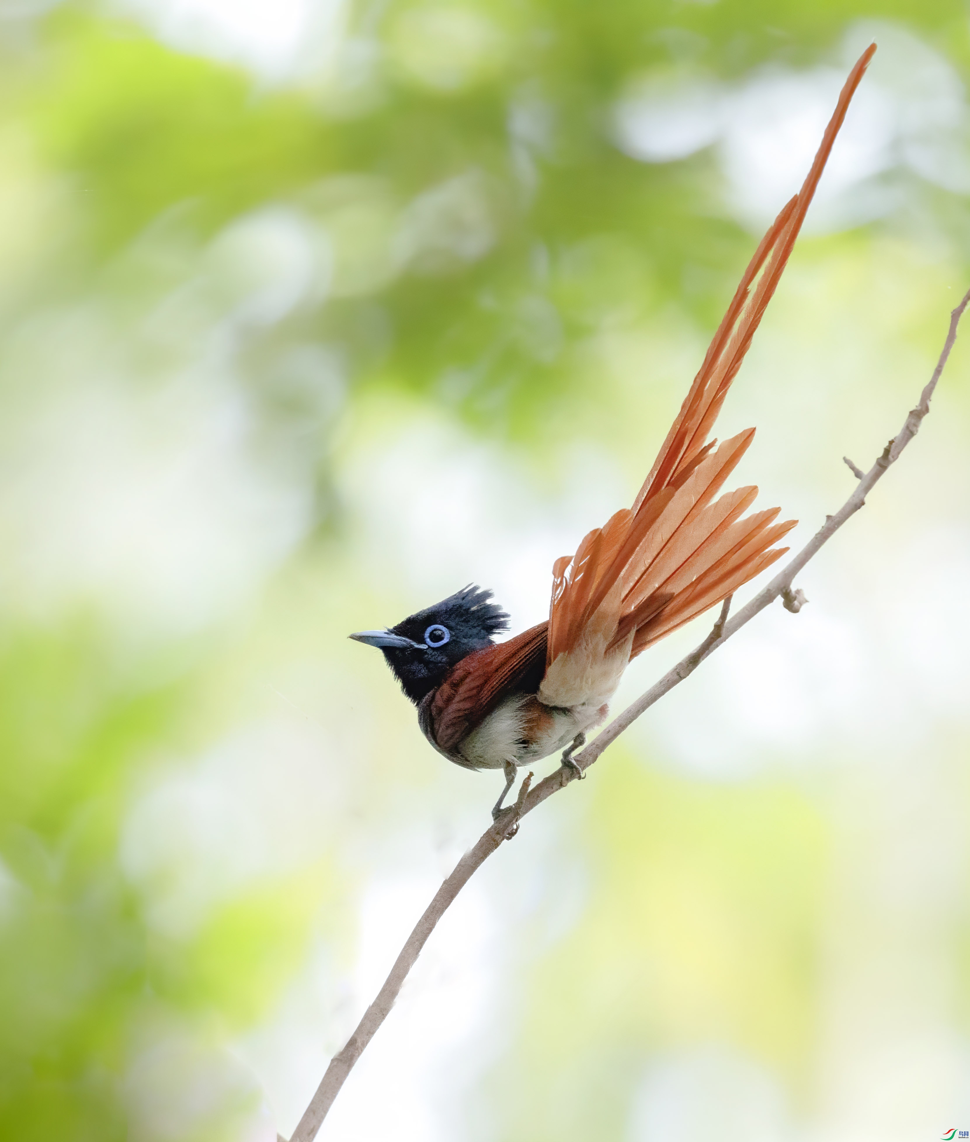 5N9A2741 ���� 2.jpg