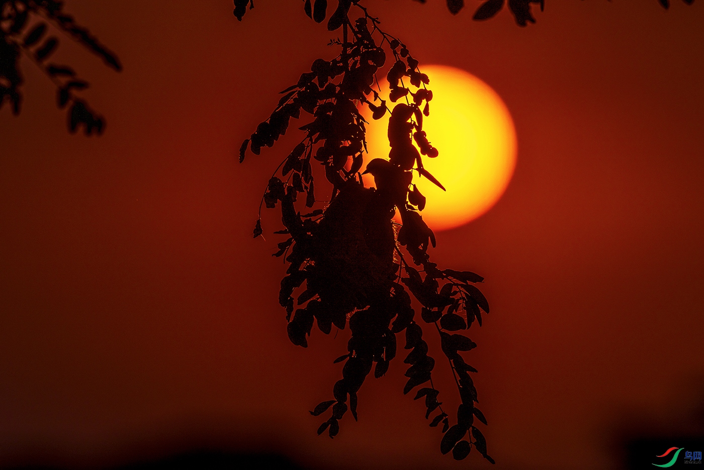 _5LM0937a.jpg