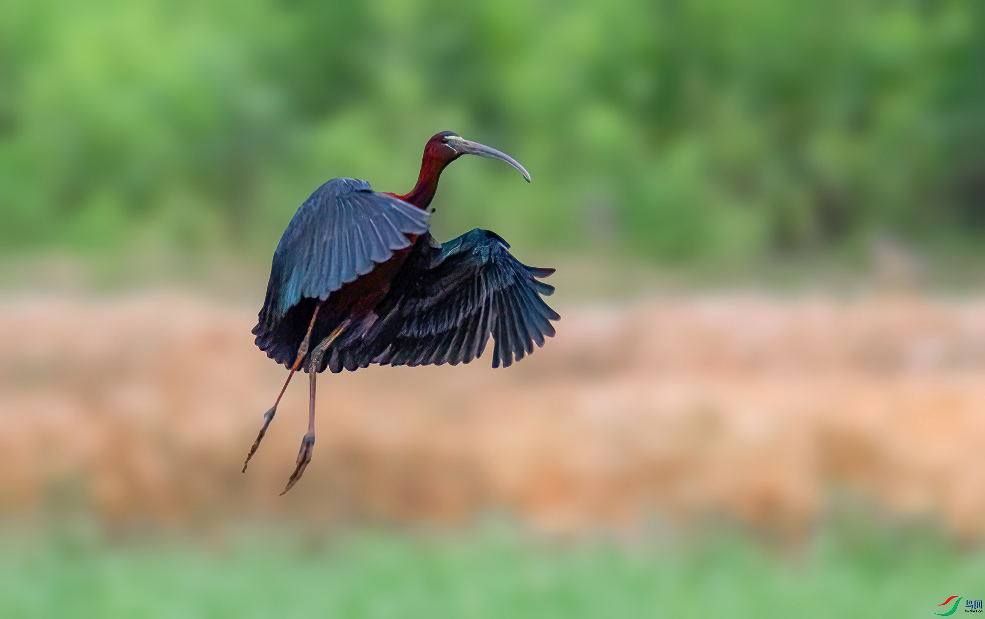 060A0761 ����-Sh----1 .jpg