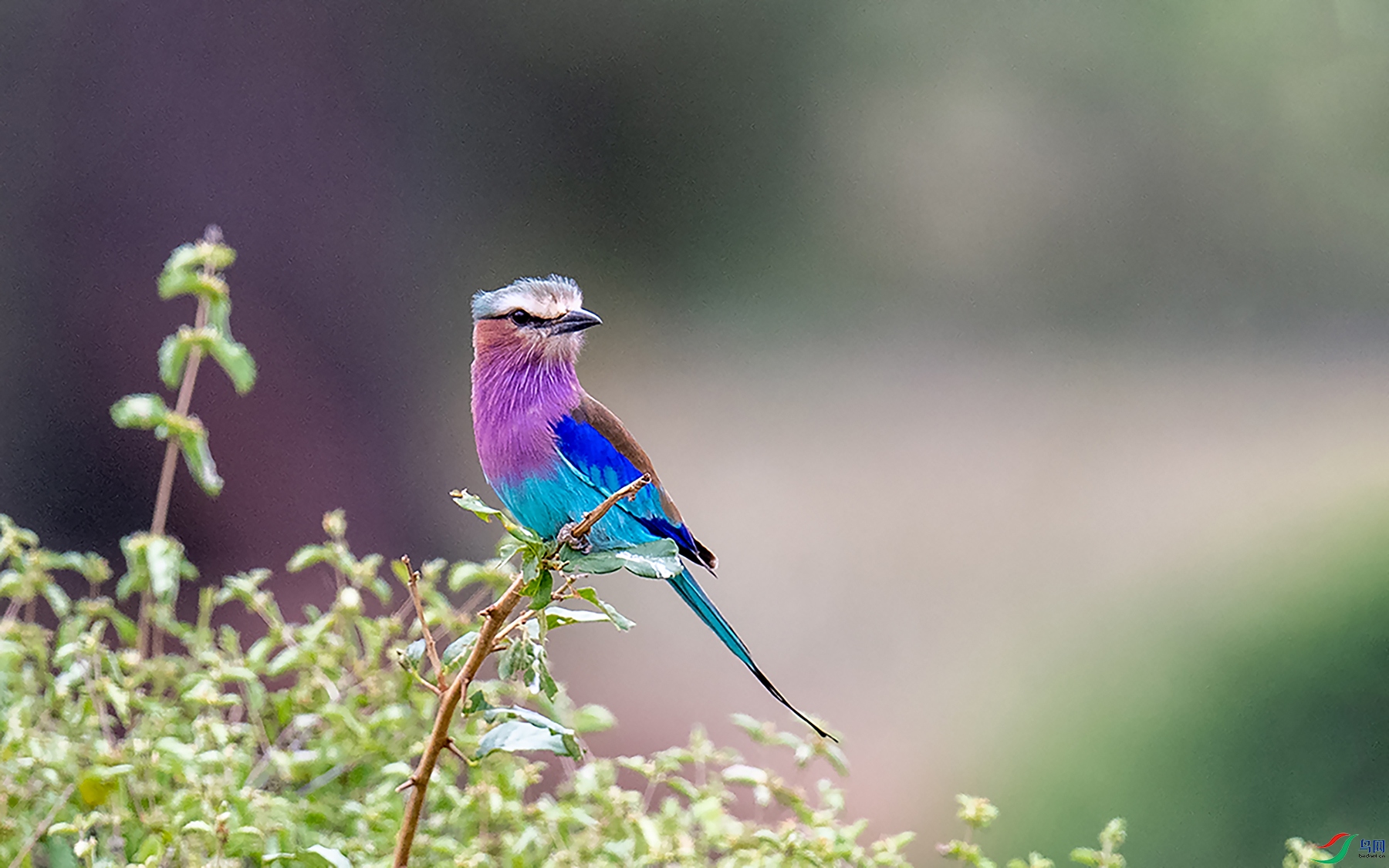 DSC_2166.jpg