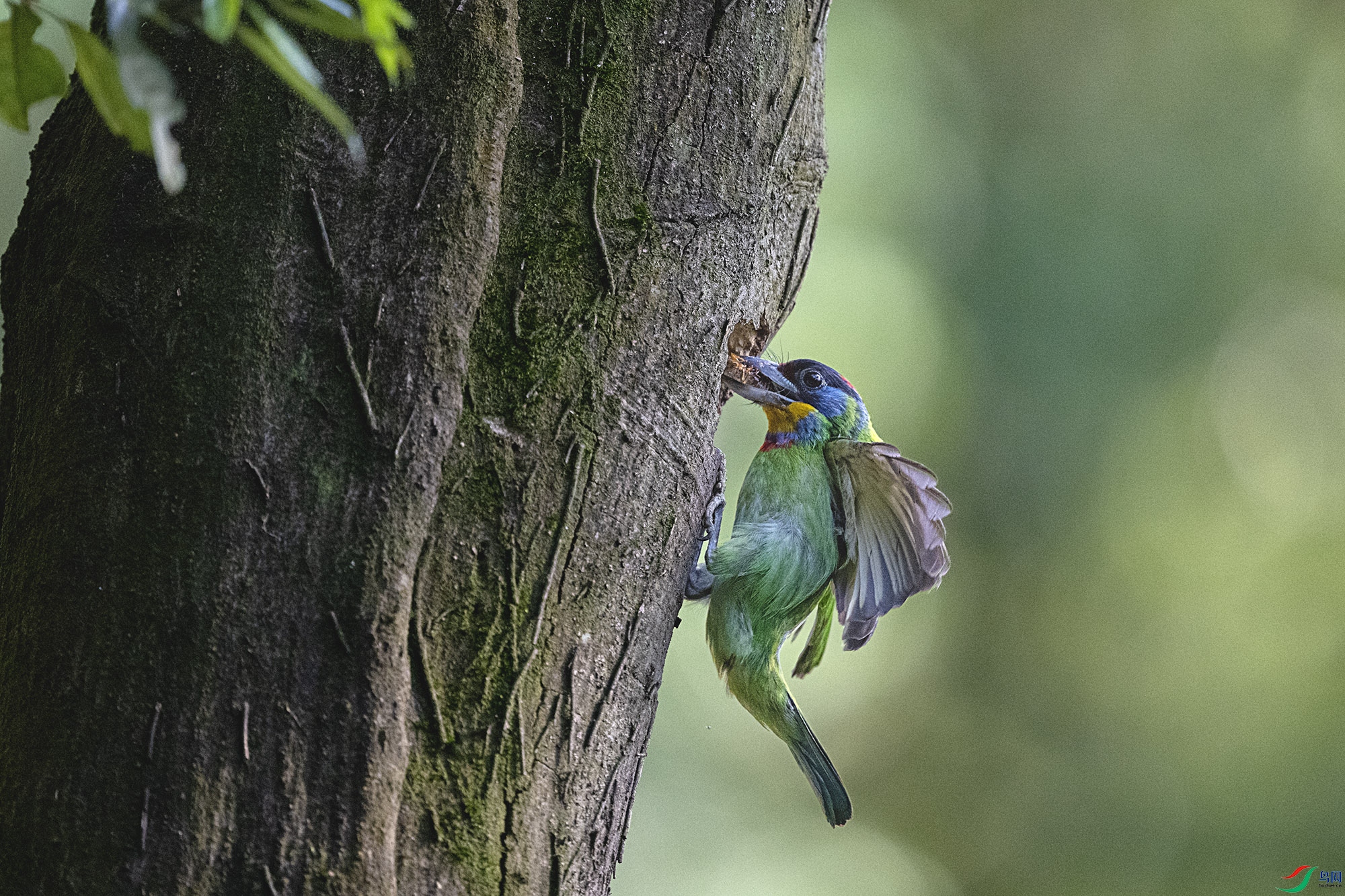DSC_3359.jpg