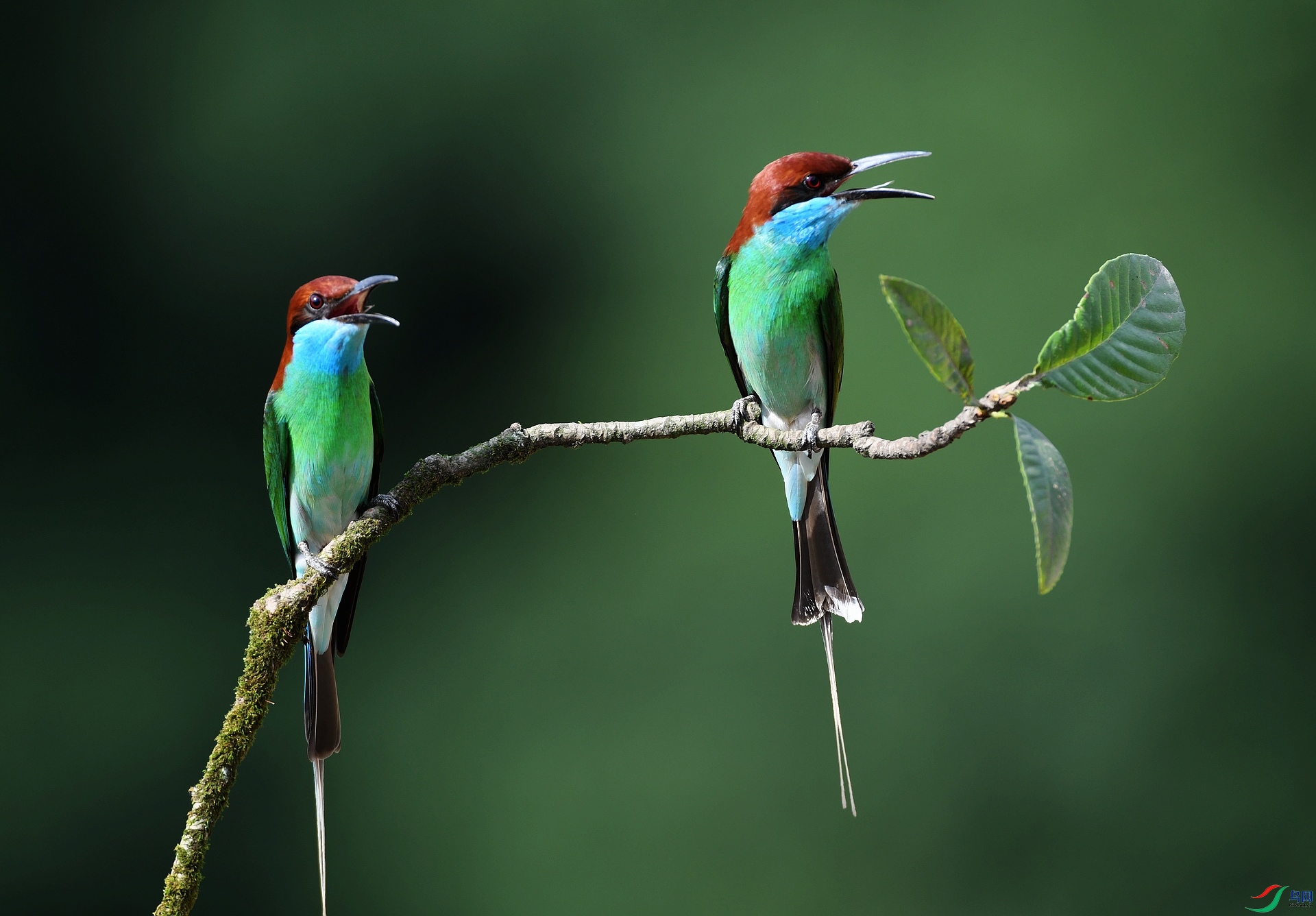 DSC_3049.jpg