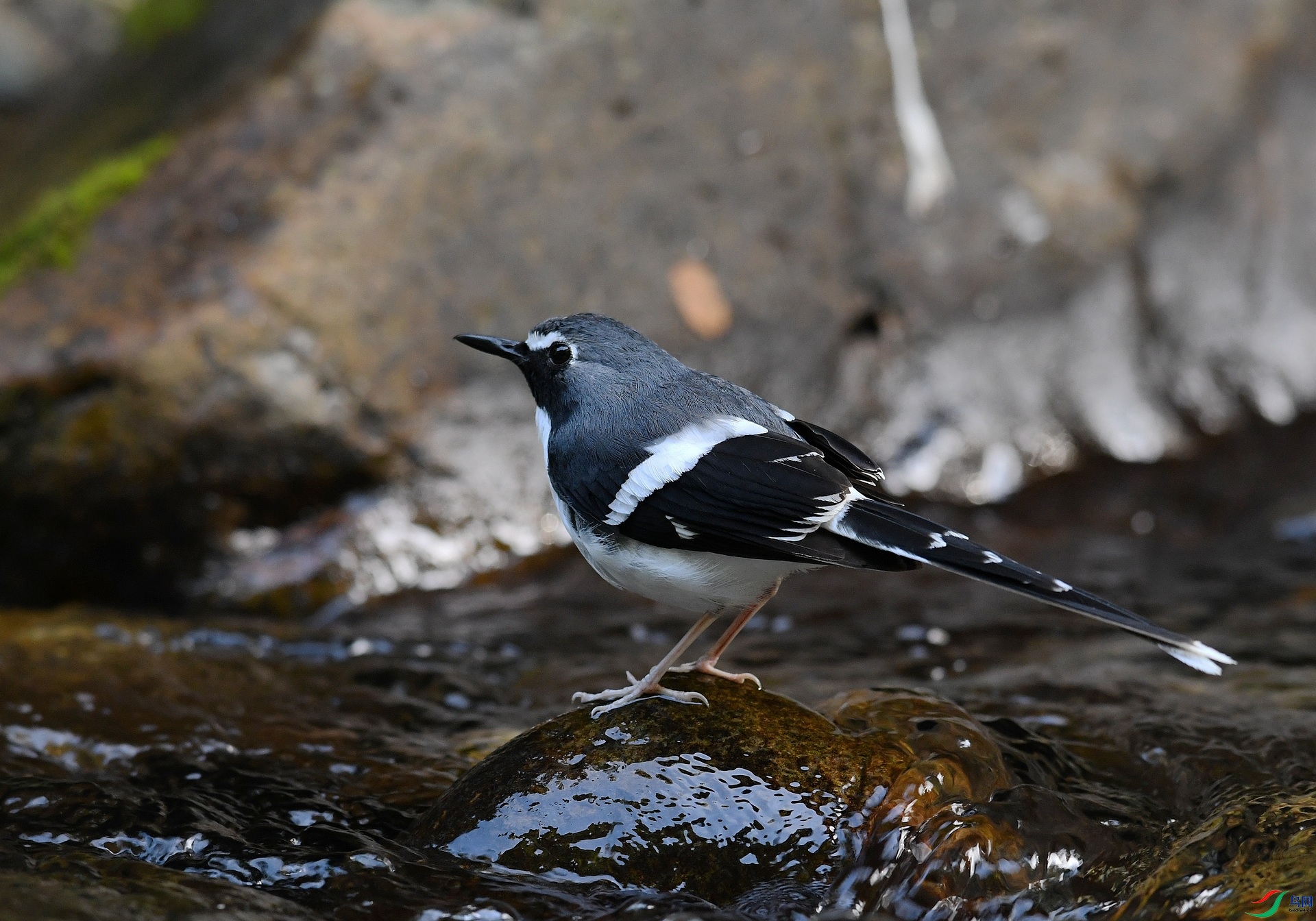 DSC_5168.jpg