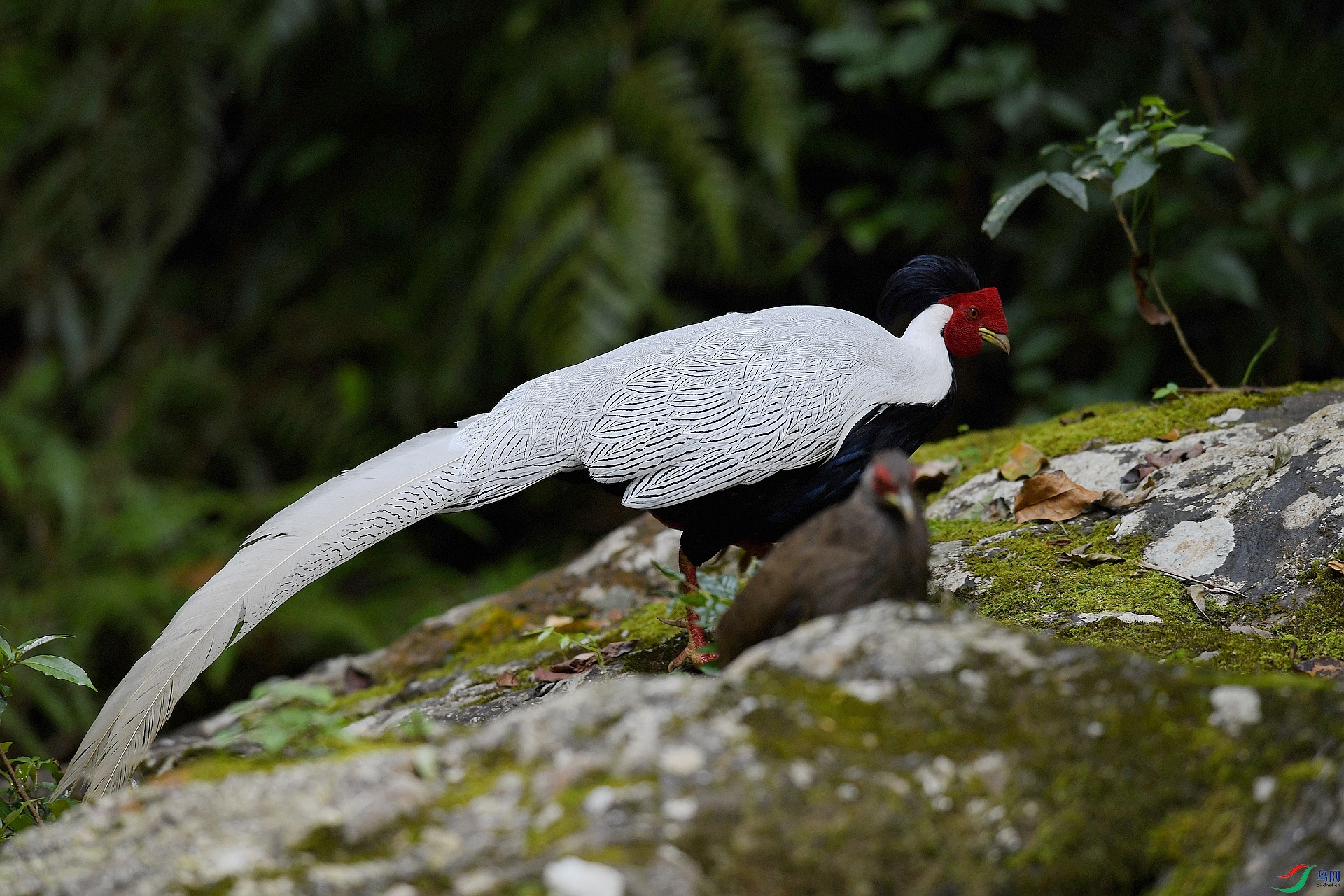 DSC_5425.jpg