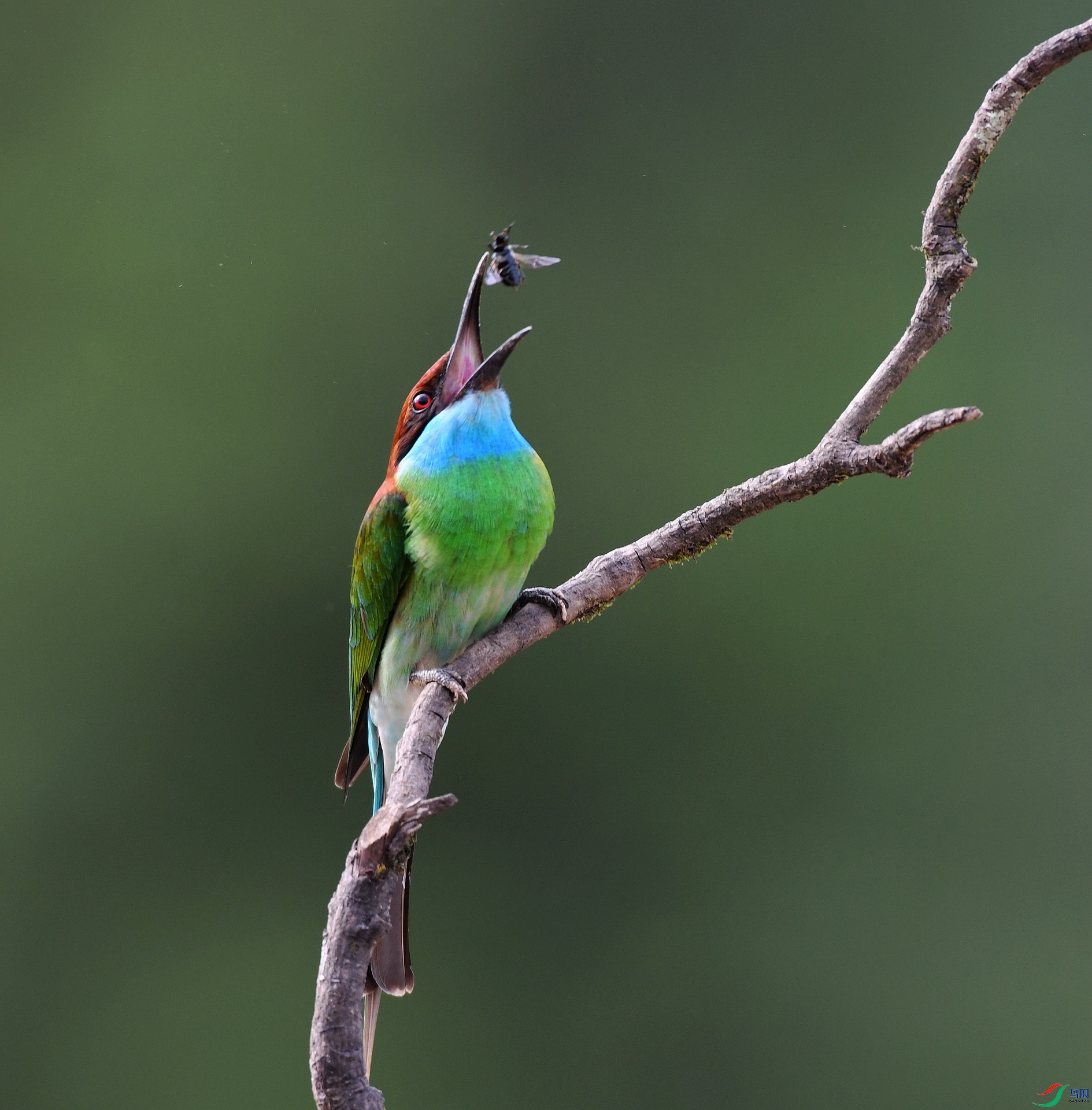 DSC_5174.jpg