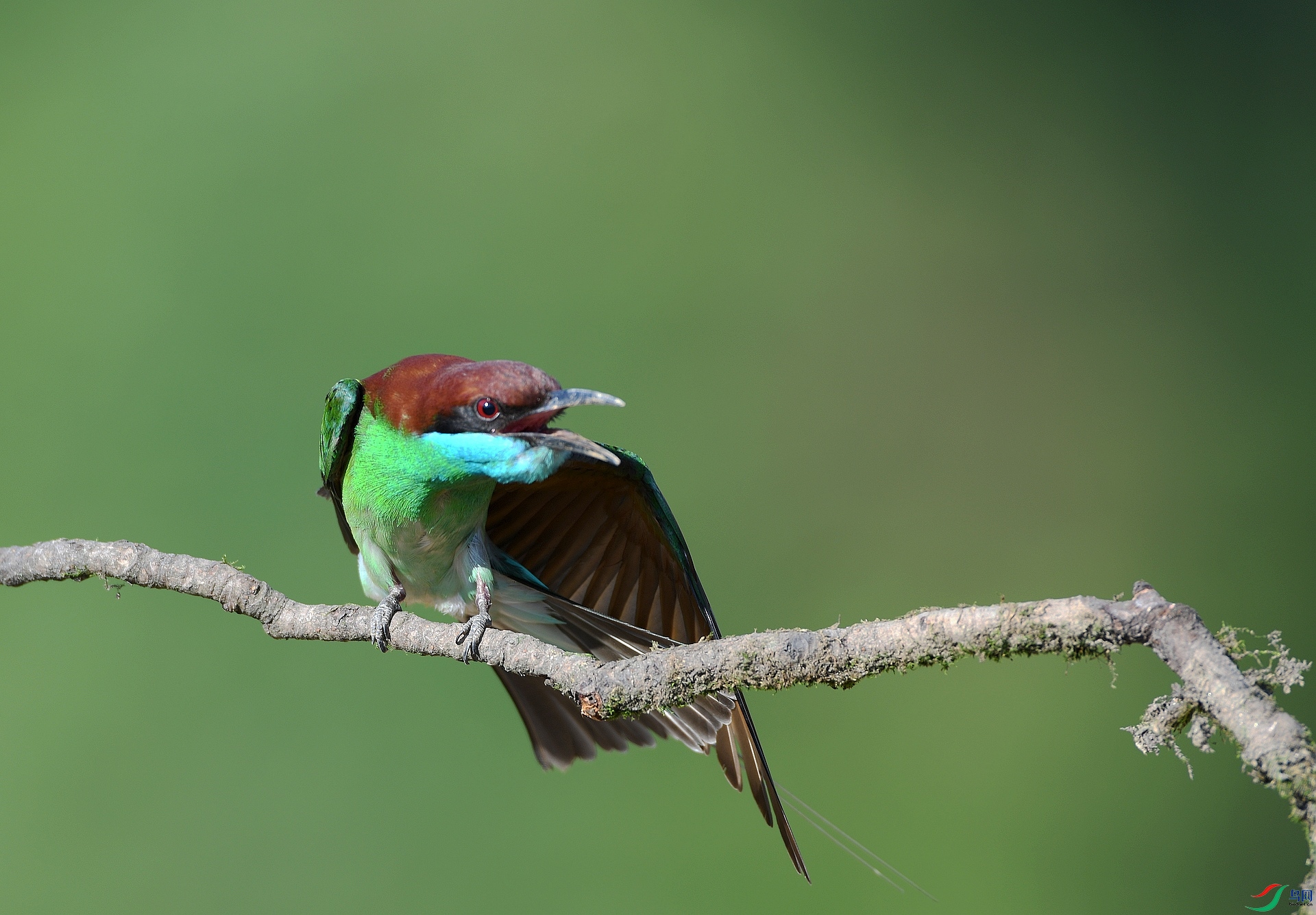 DSC_5912.jpg