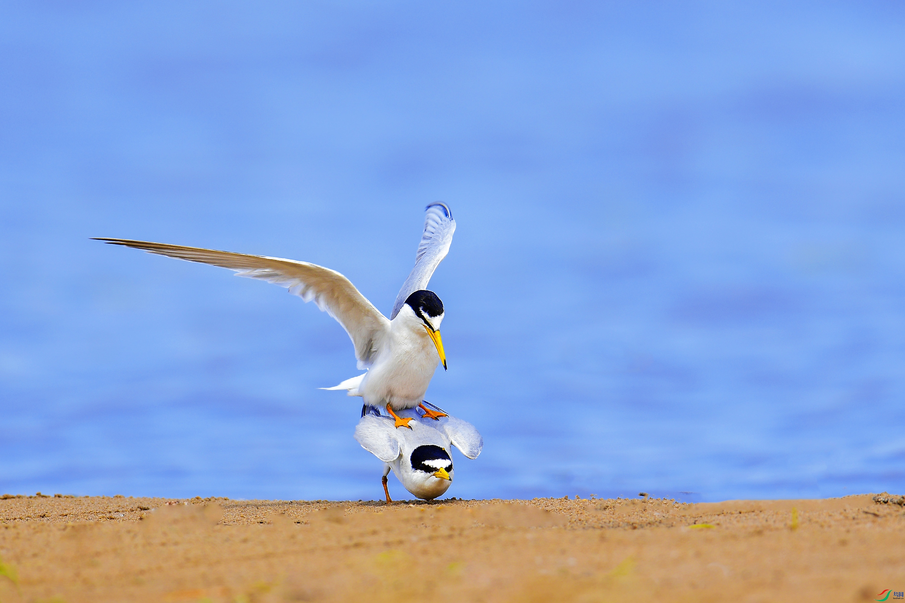 DSC_8770-1.jpg