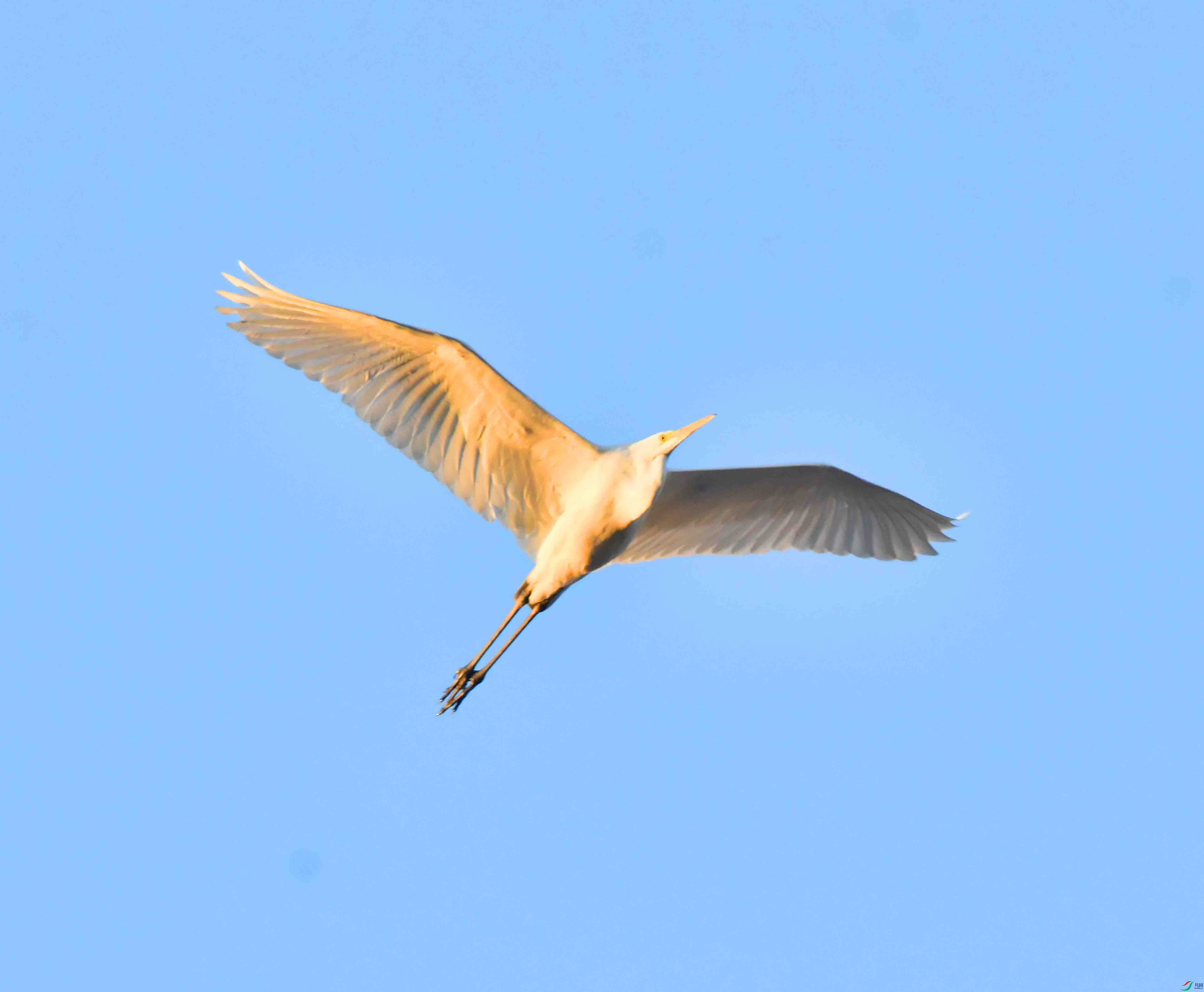 DSC_8464.JPG