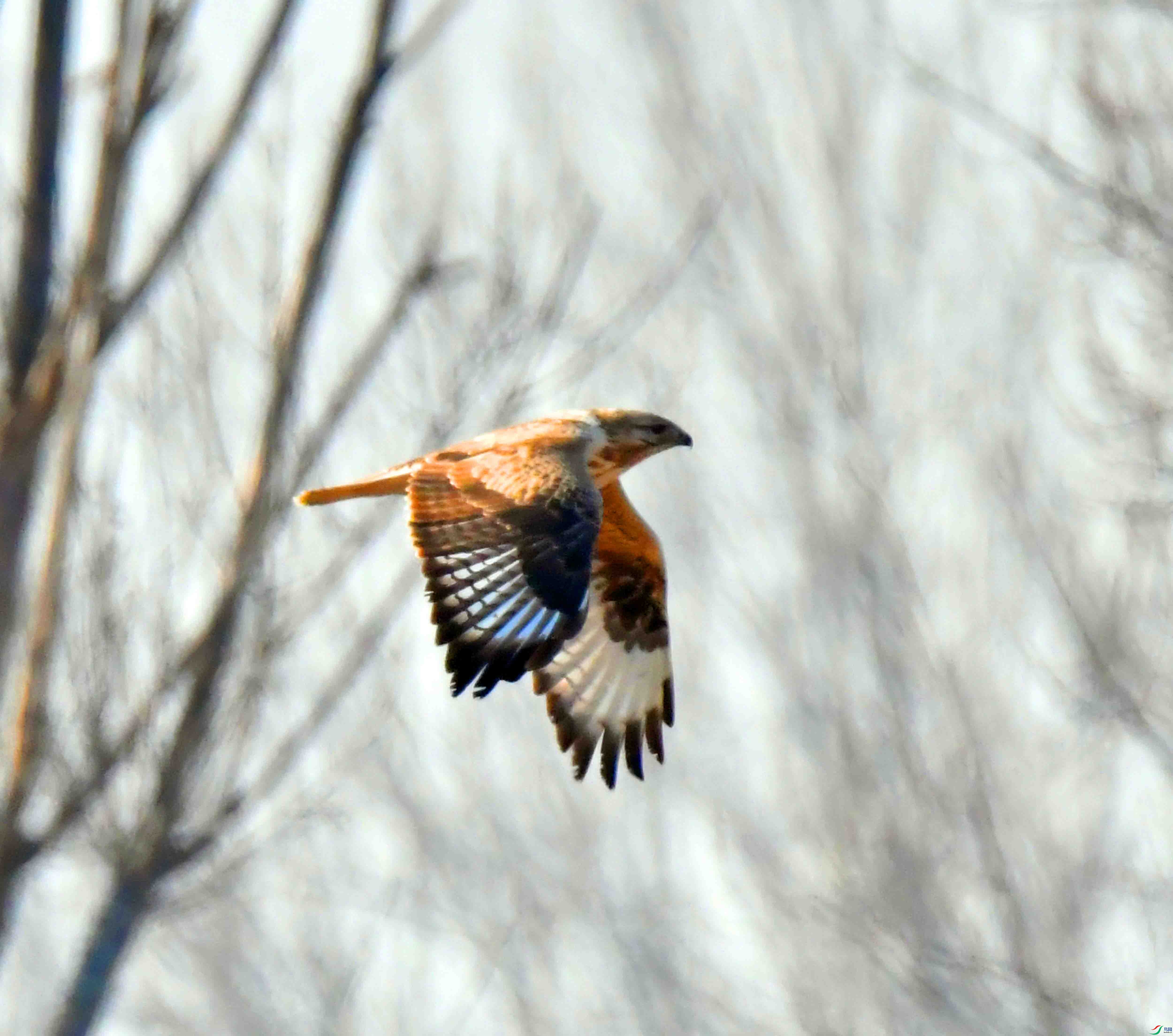 DSC_1414.JPG
