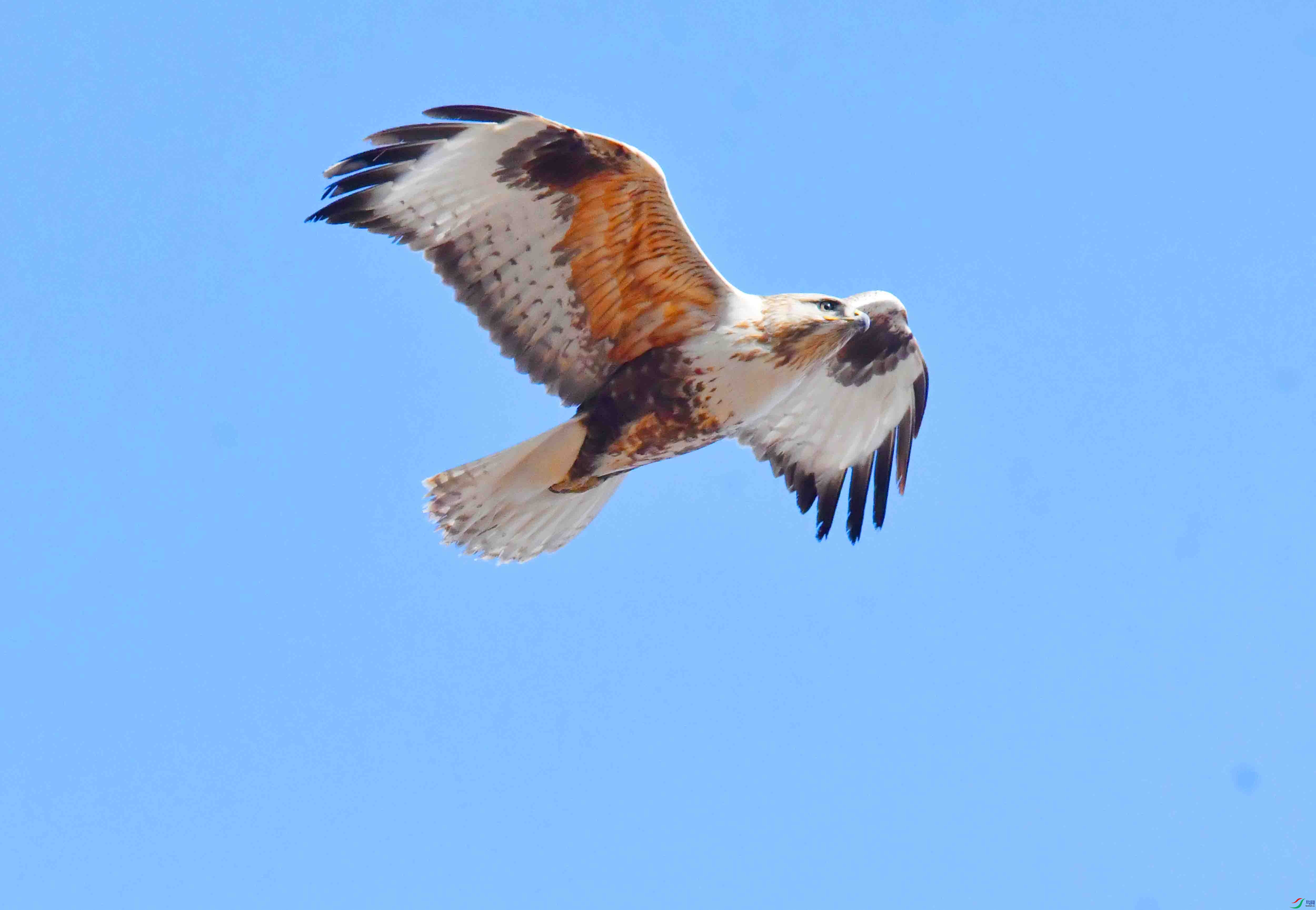 DSC_6940.JPG