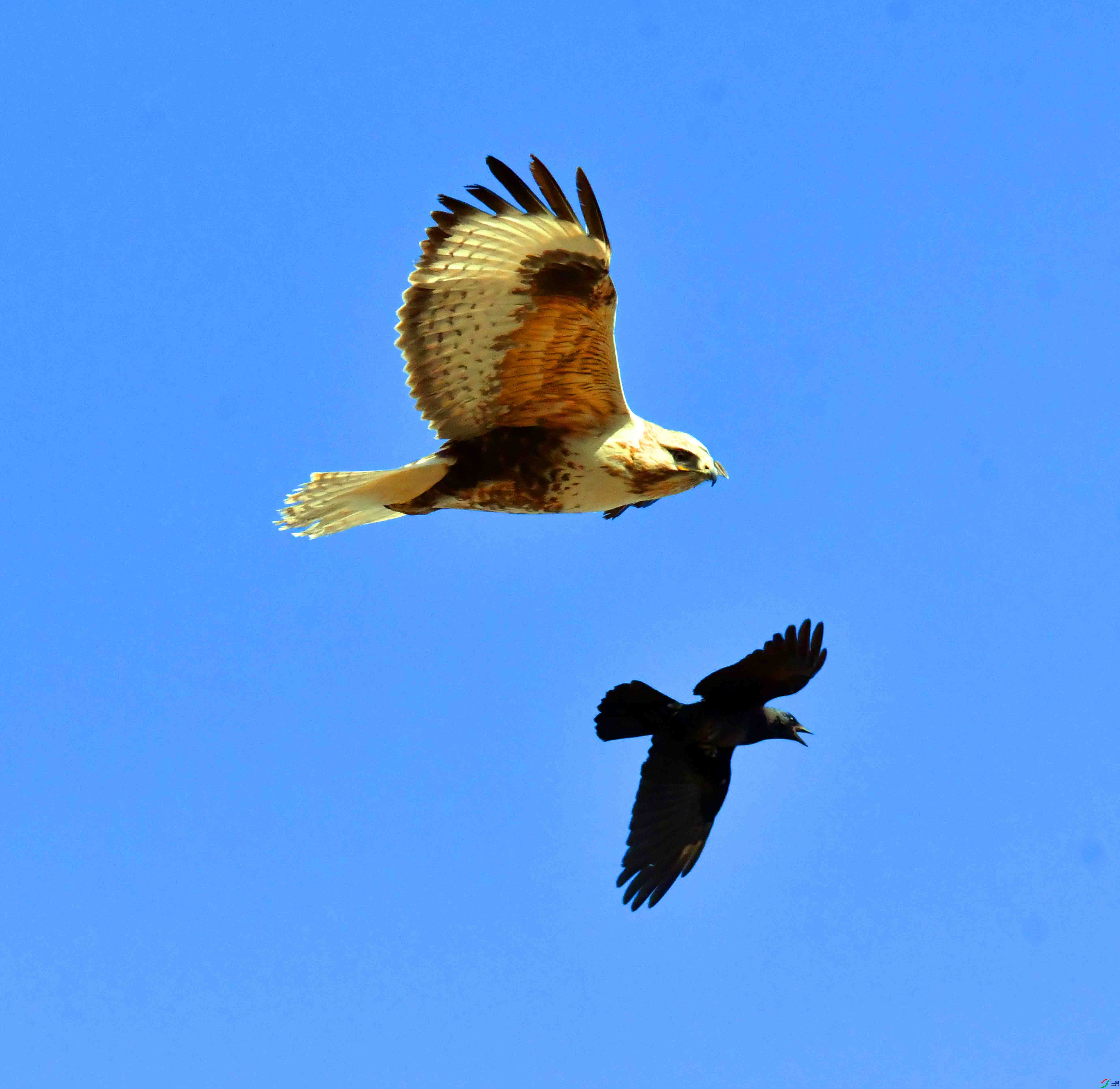 DSC_6938.JPG