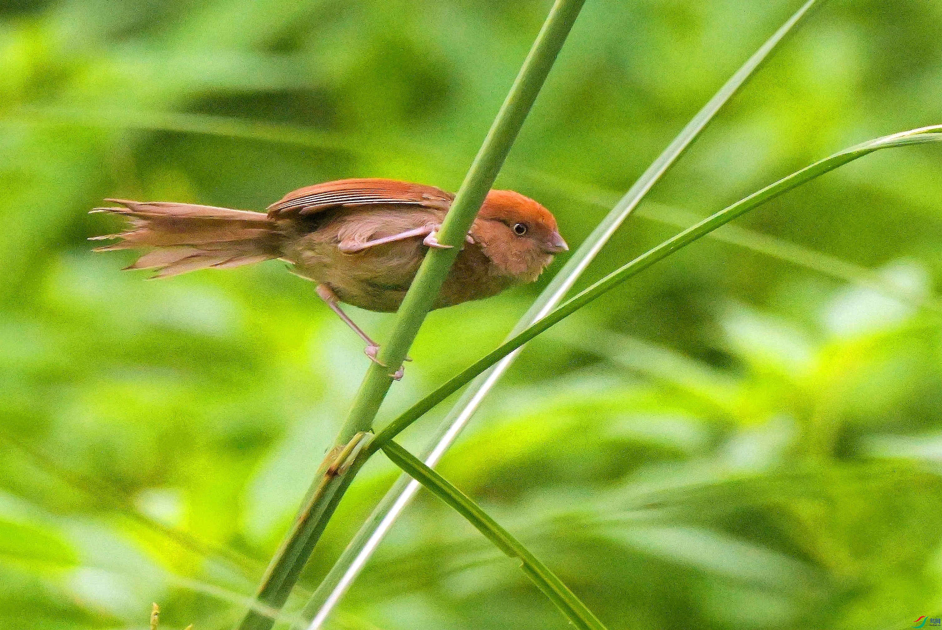 DSC_4905.jpg