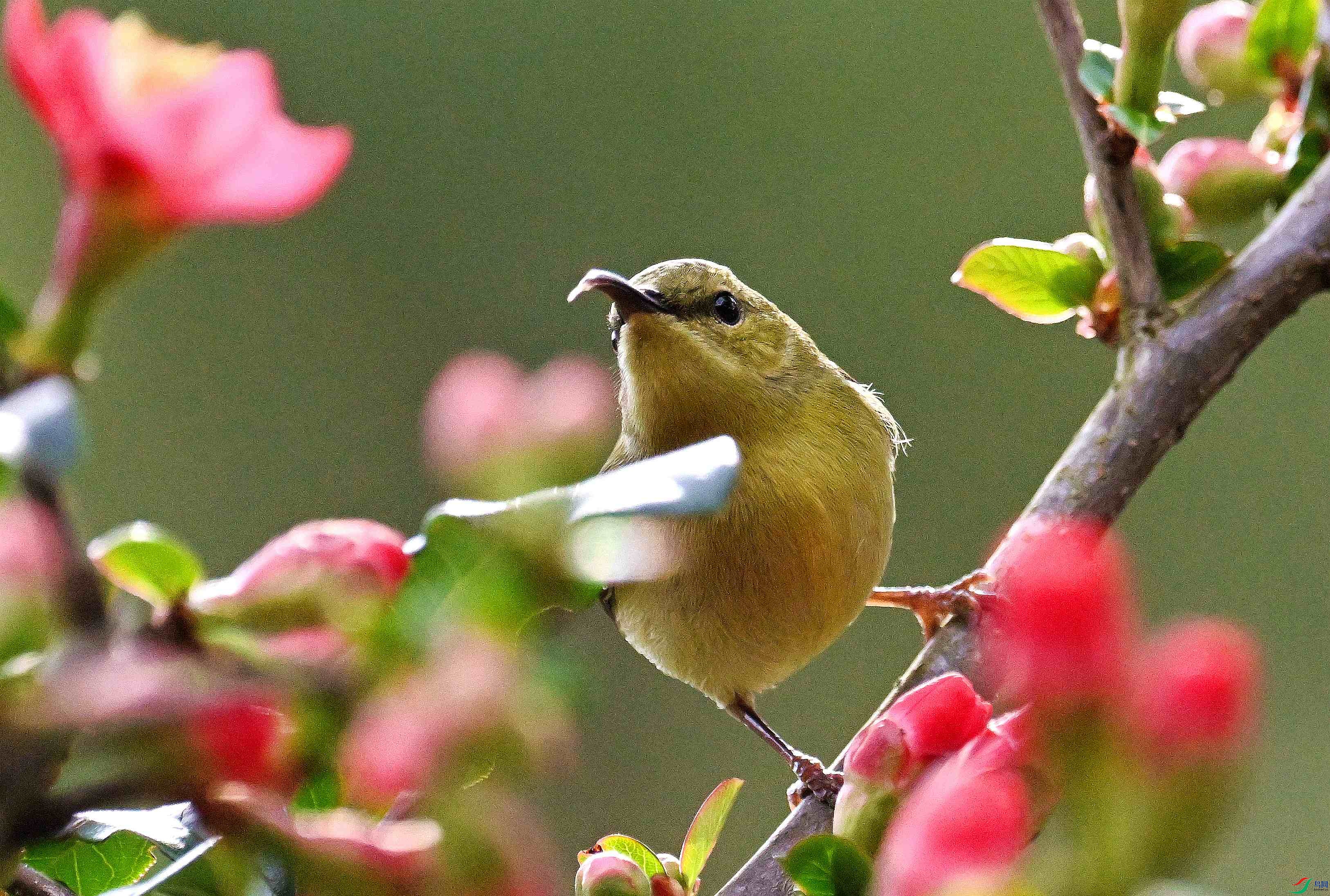 DSC_6032.jpg