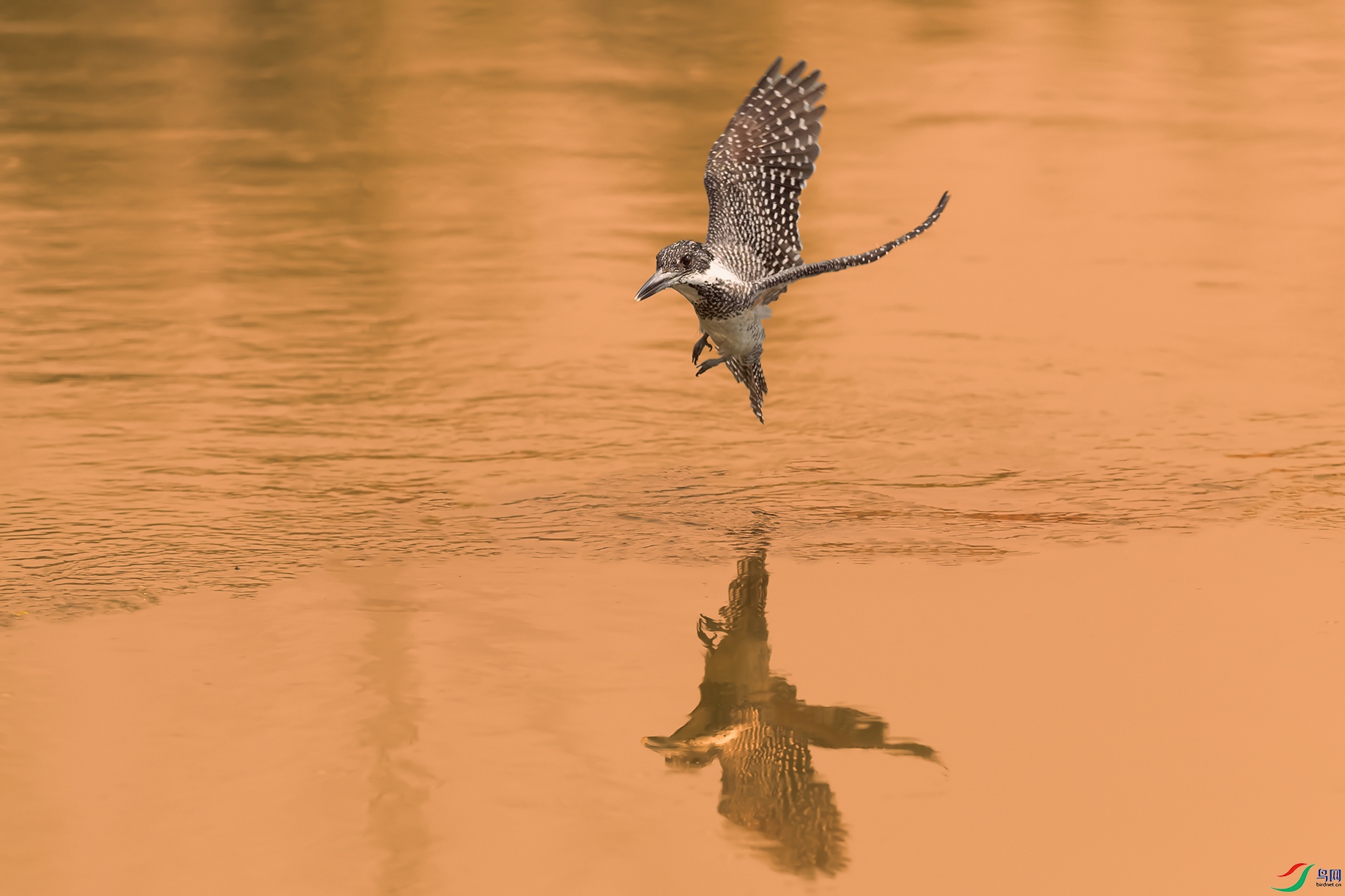 2DSC_1781_DxOa.jpg