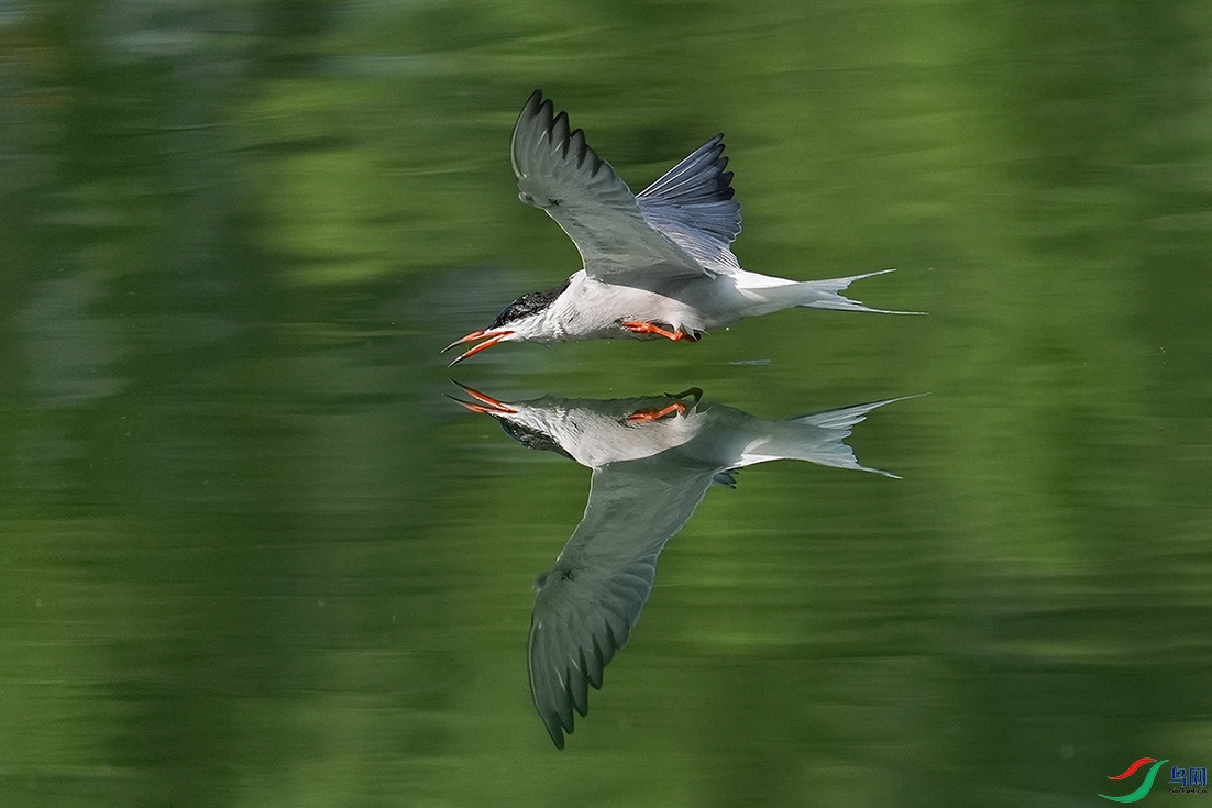 DSC03149 ����.jpg