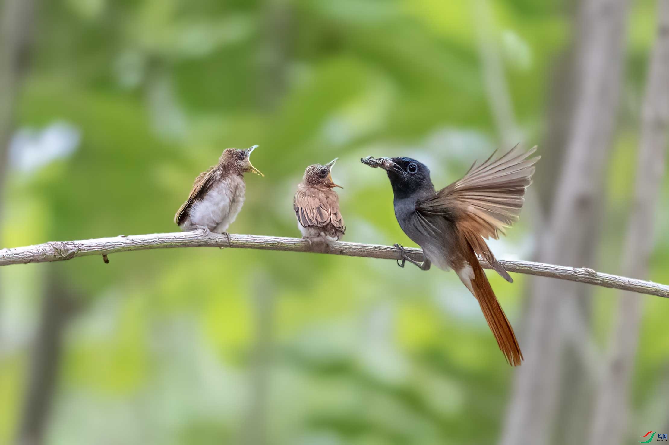 DSC_4807 ����.jpg