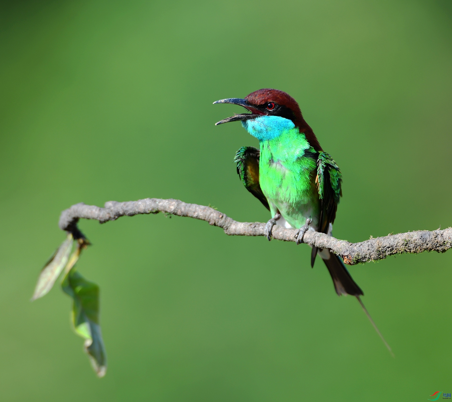 DSC_5906.jpg