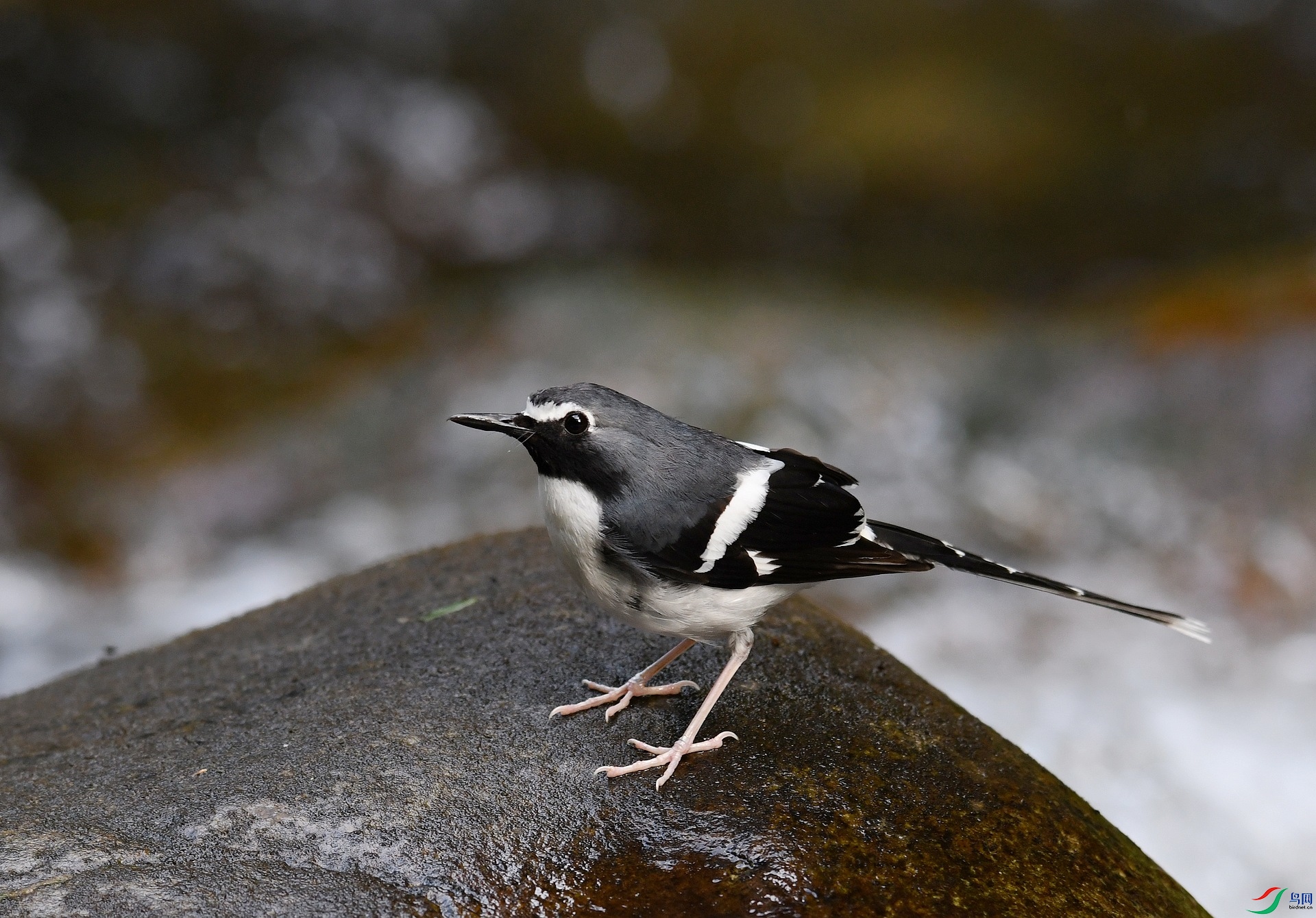 DSC_5453.jpg