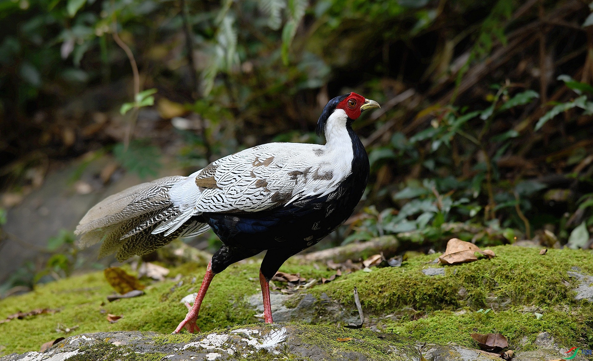 DSC_6712.jpg