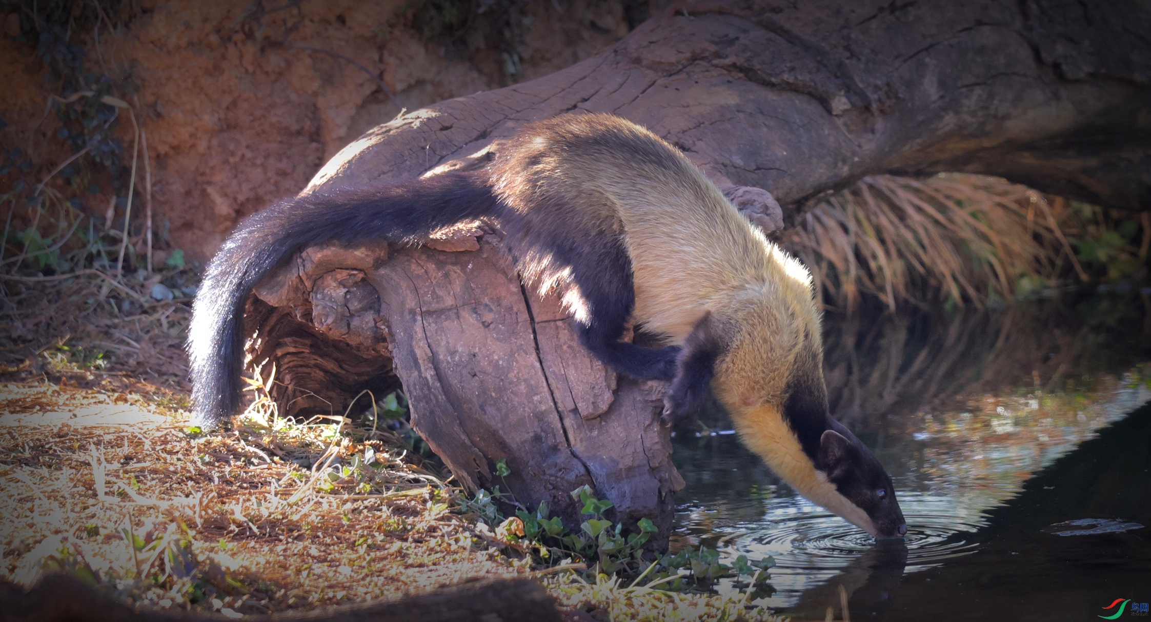 �Ա��˻�Ҫ����.jpg