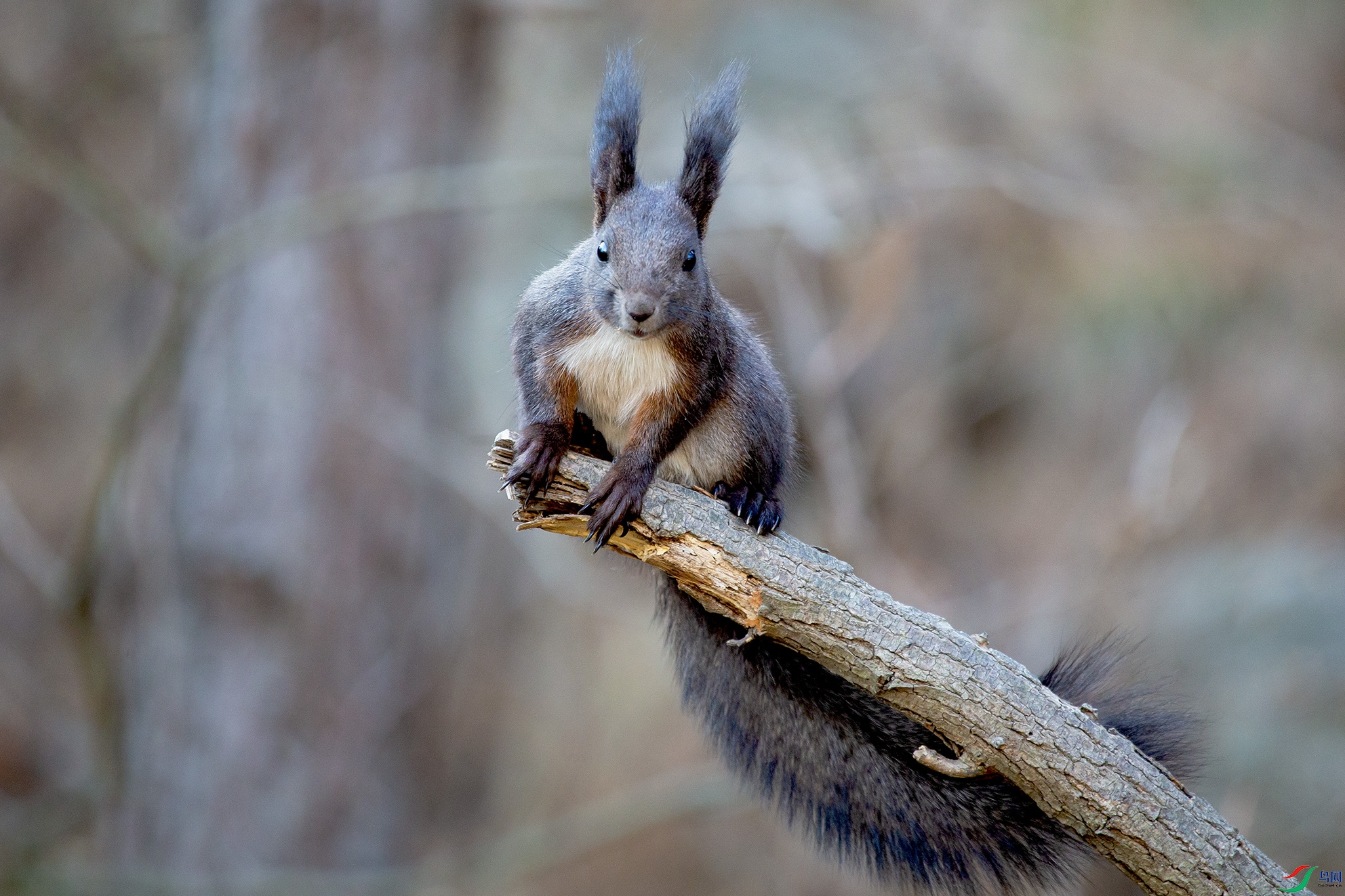 _MG_8092 ����.jpg