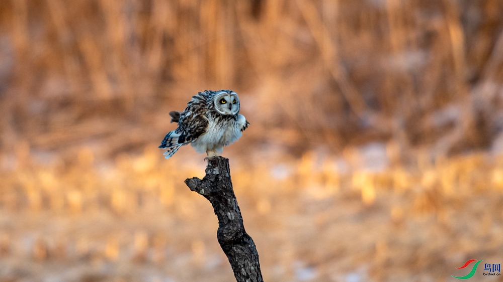 DSC_8636.jpg