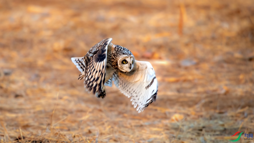 DSC_9711.jpg