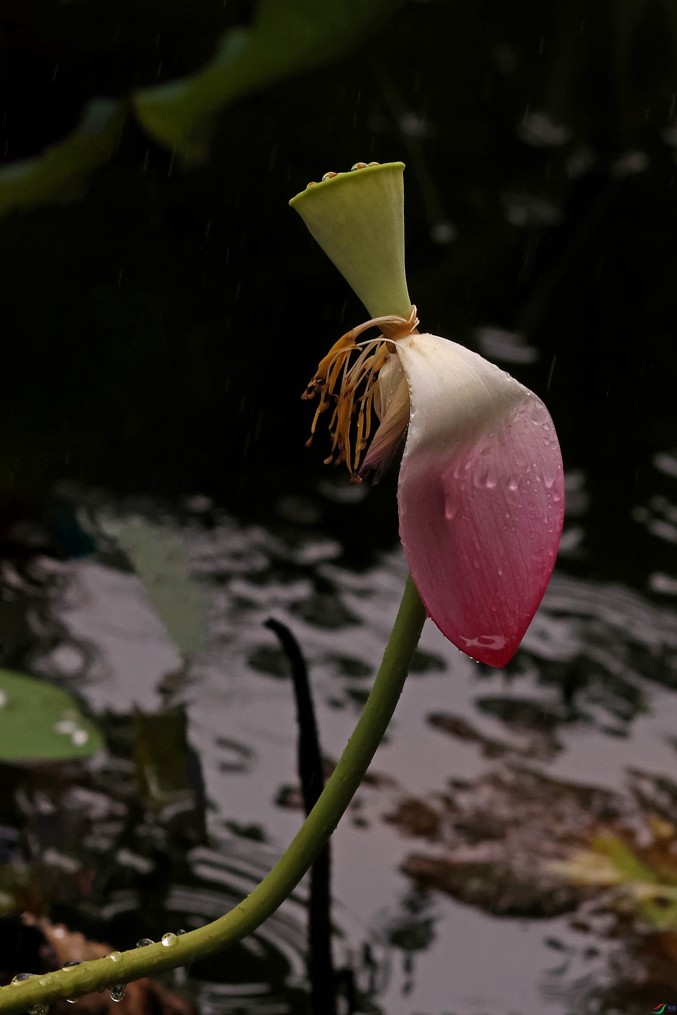 2G9A5062.JPG