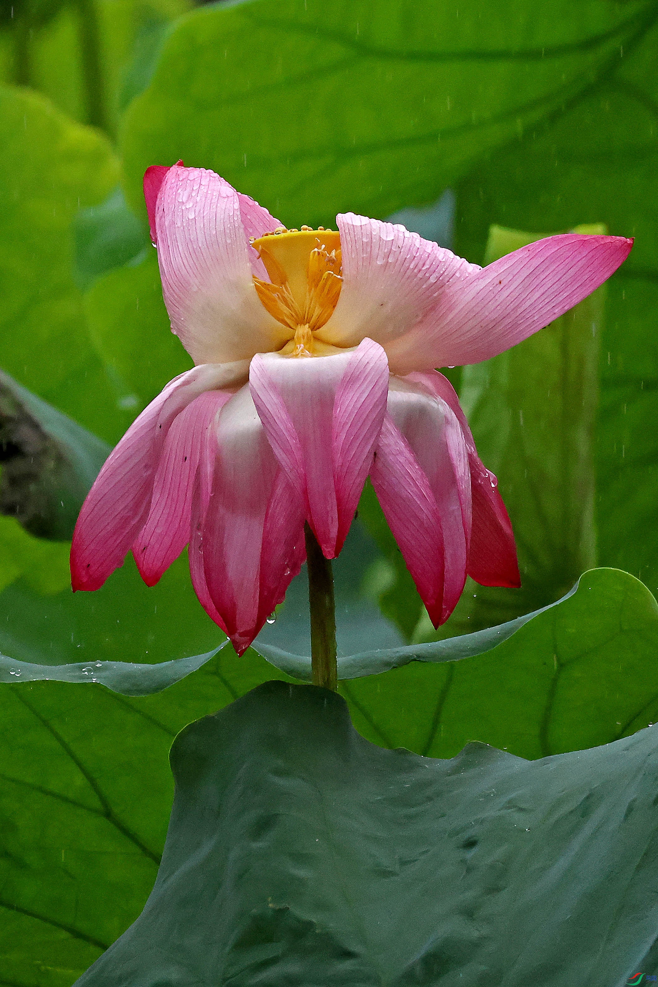 2G9A5057.JPG