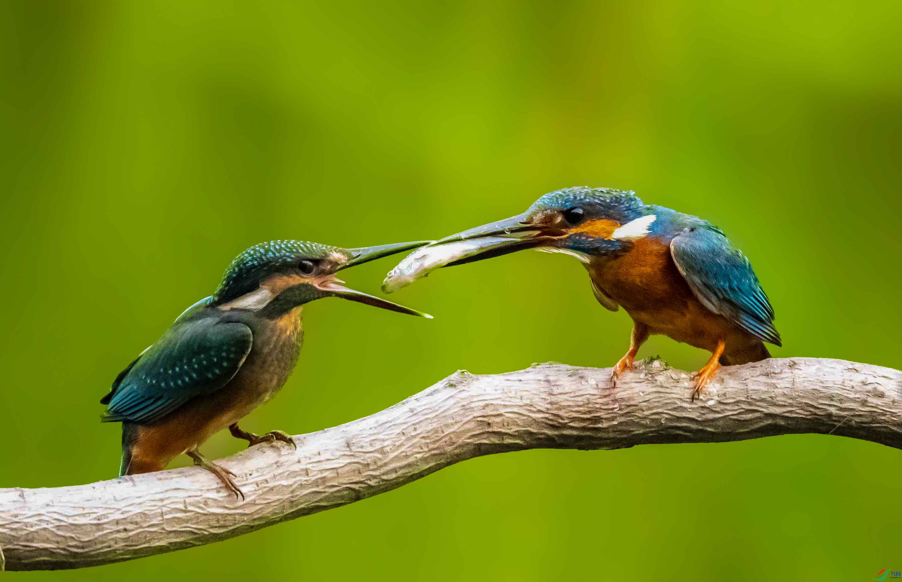 ΢��ͼƬ_20250625152348 ����.jpg