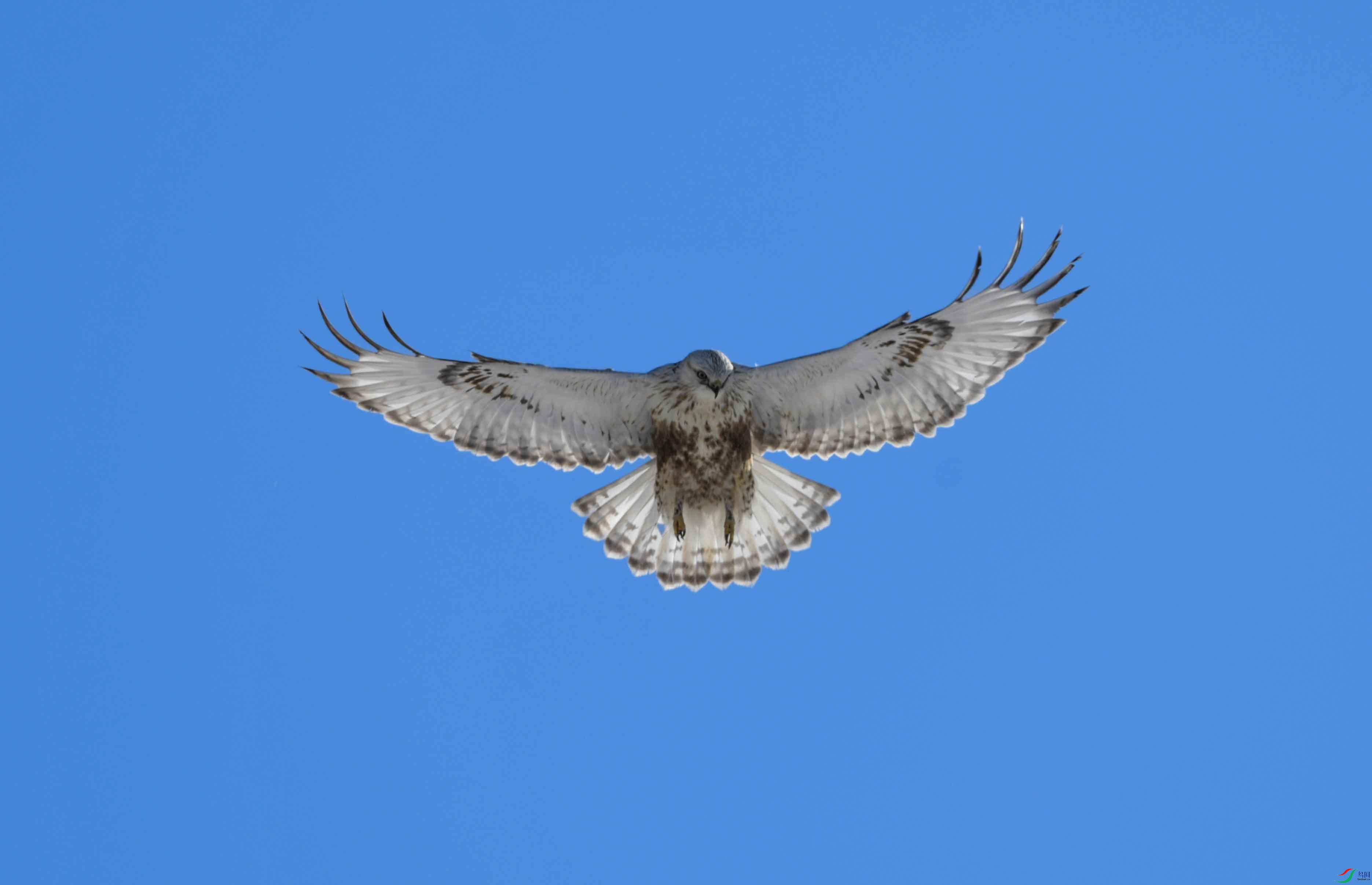 ΢��ͼƬ_20250625152644 ����.jpg