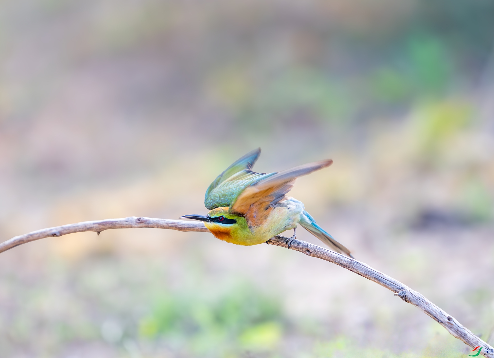 DSC_1080.jpg