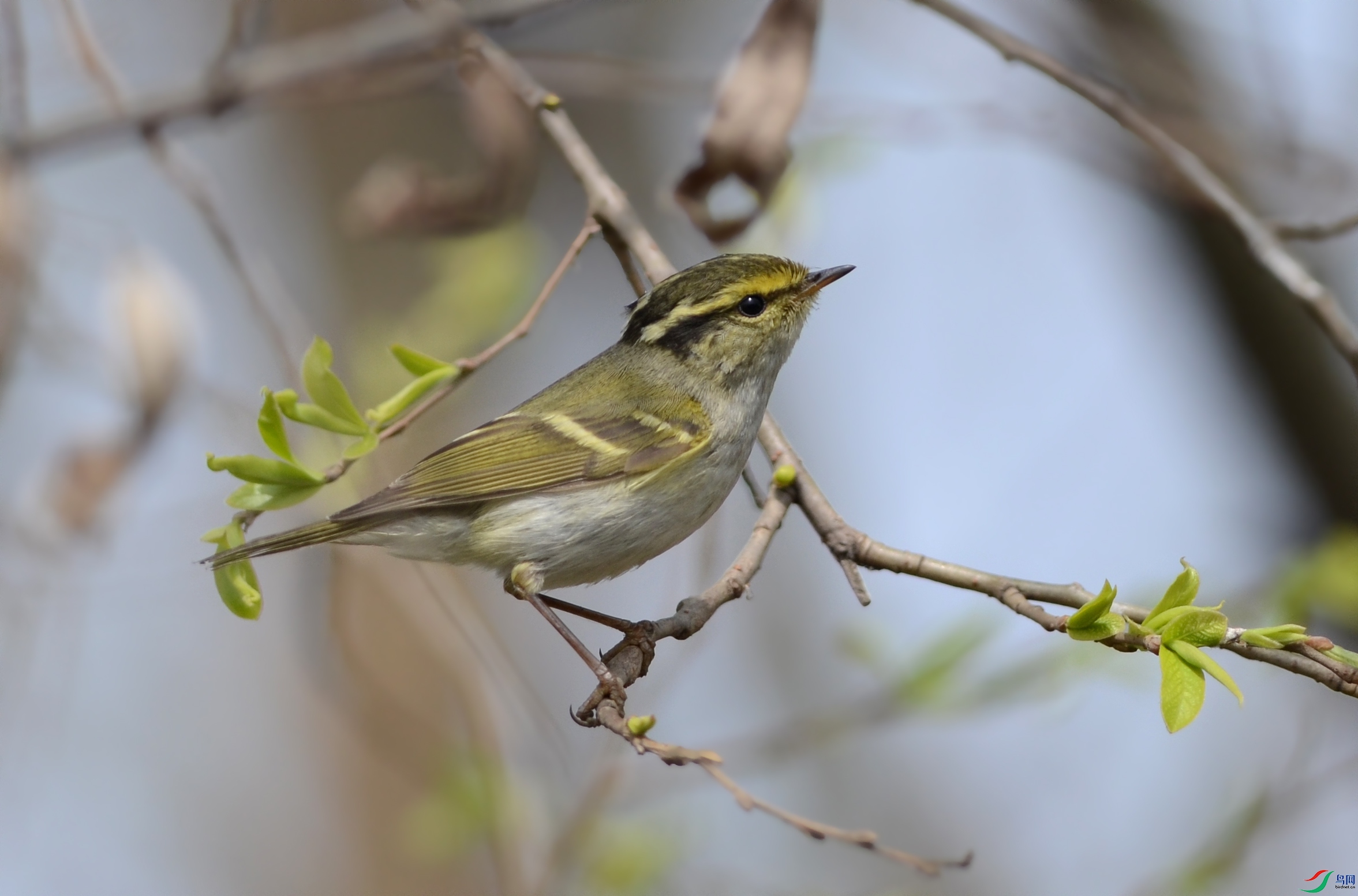 2025062504.jpg